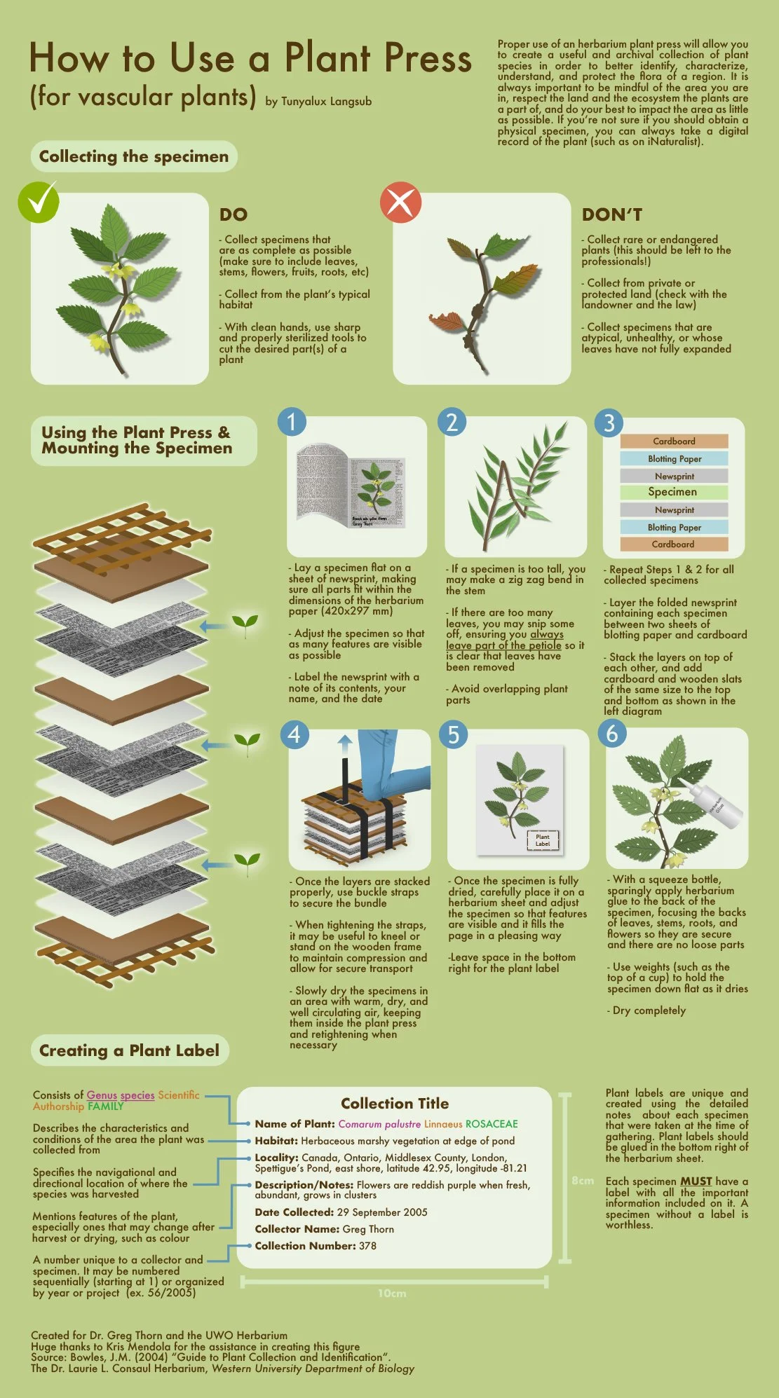 Informational poster on how to use a plant press with illustrations and step-by-step instructions.