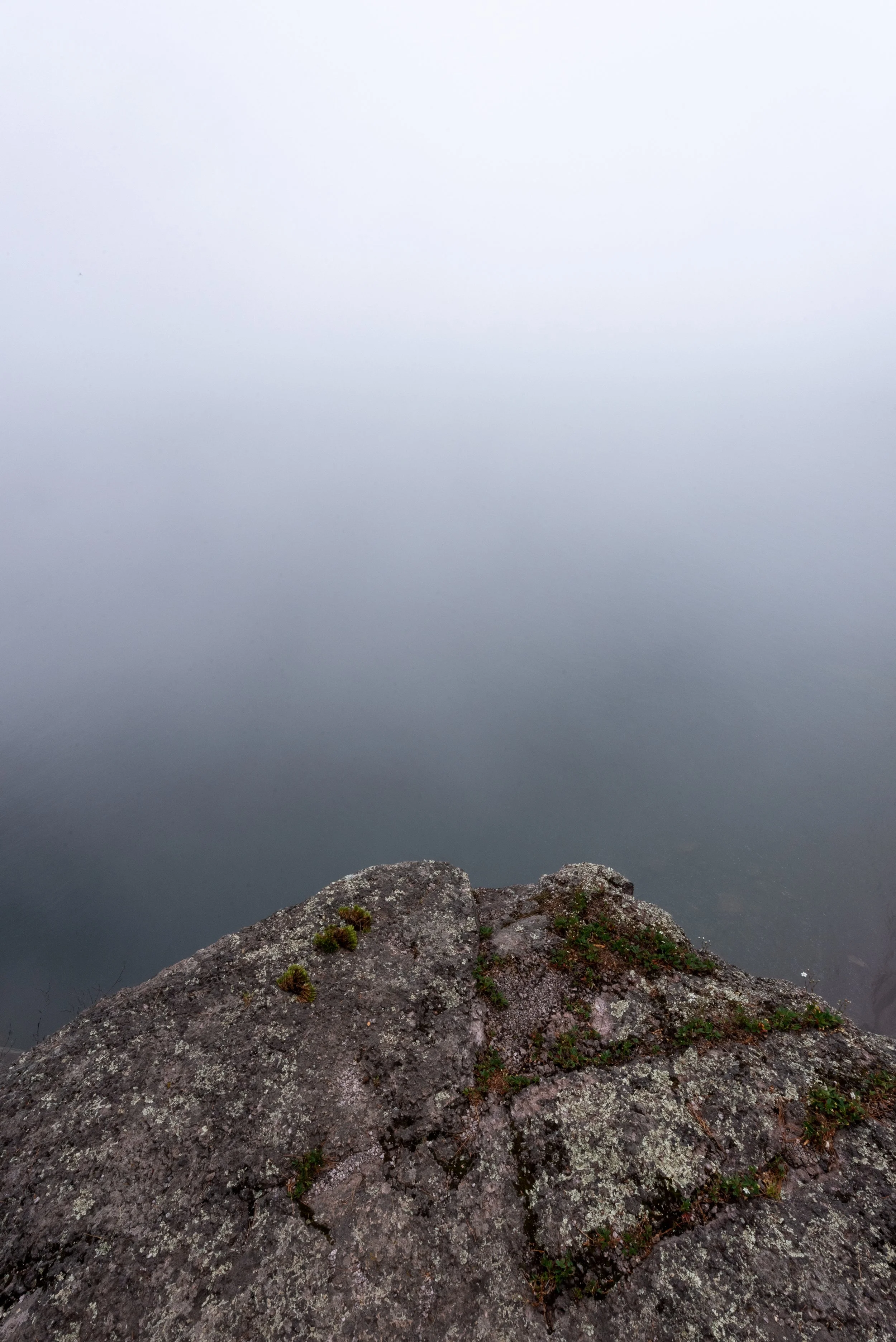 _DSC2786.jpg