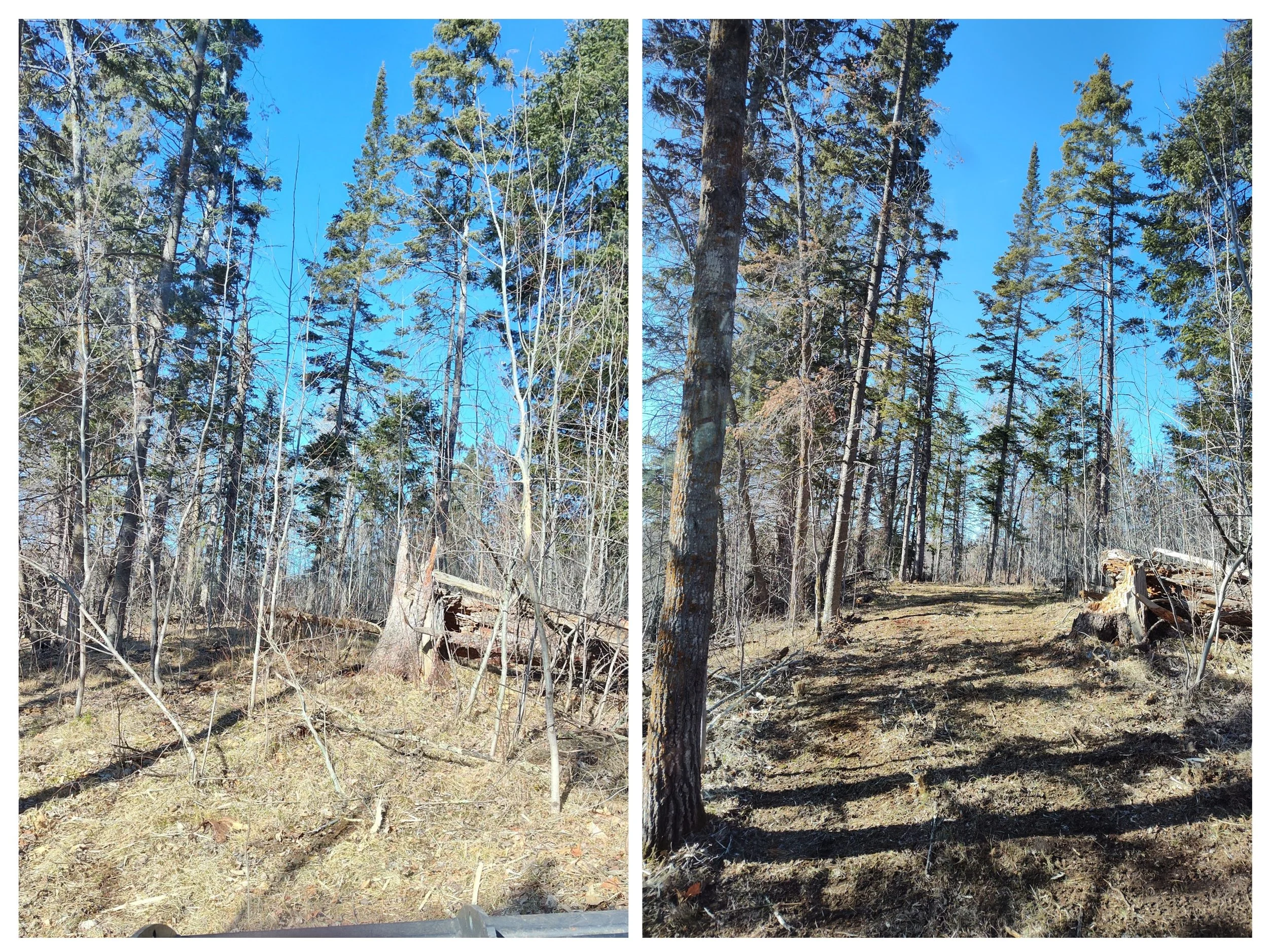 more trails collage.jpg