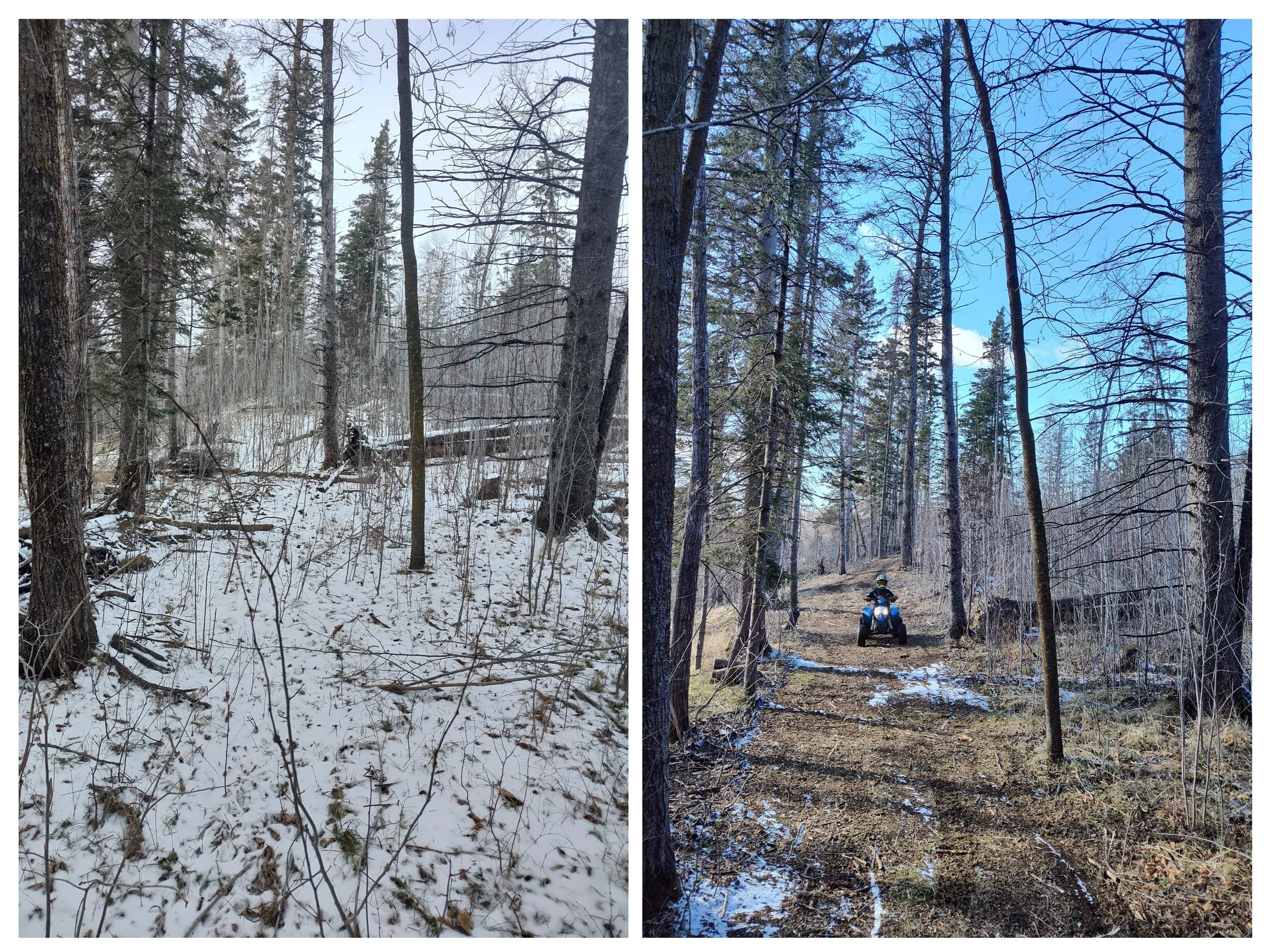 new fourwheeling trail.jpg