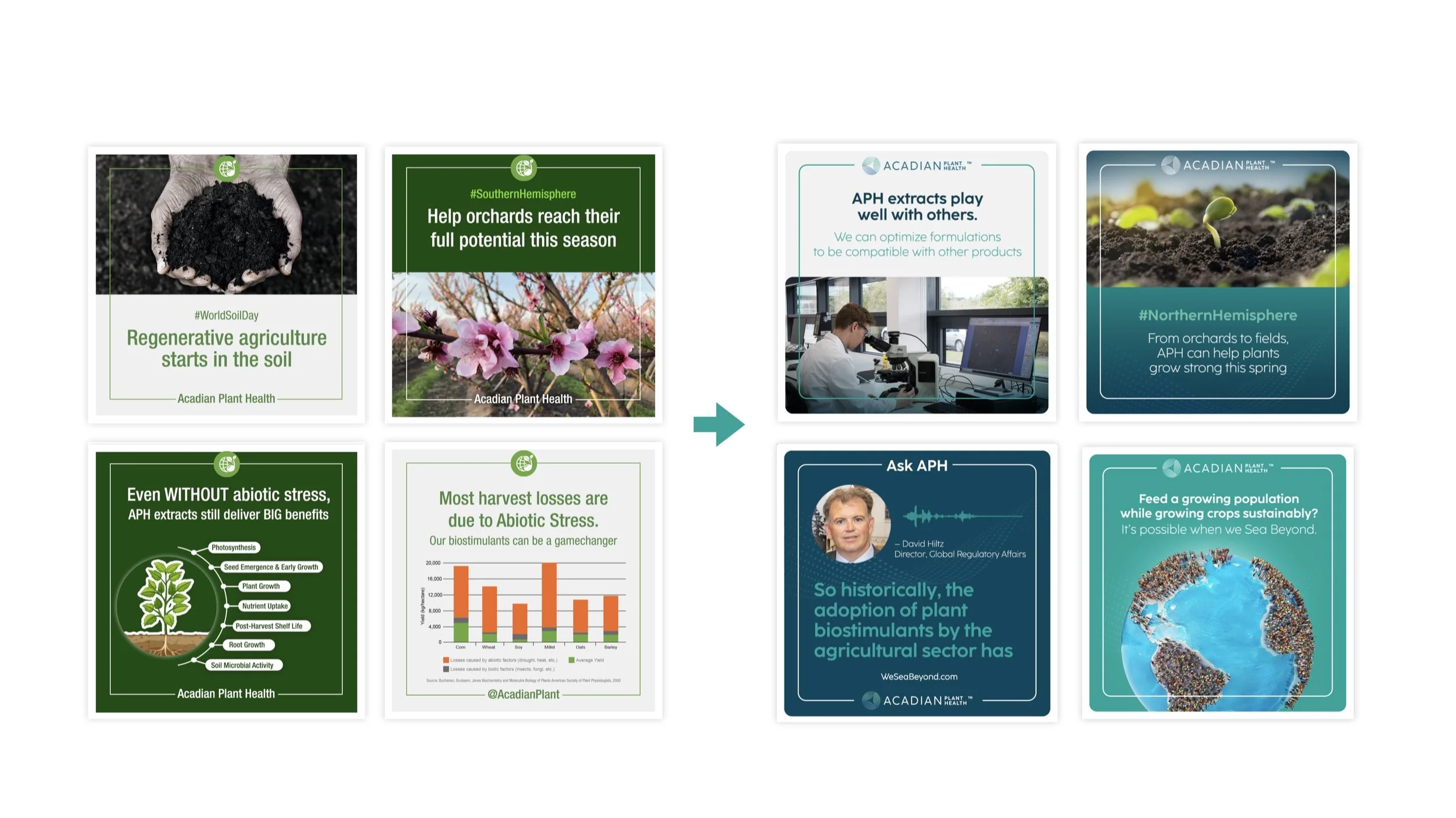 Transforming old social media template to new as per the current brand guidelines.