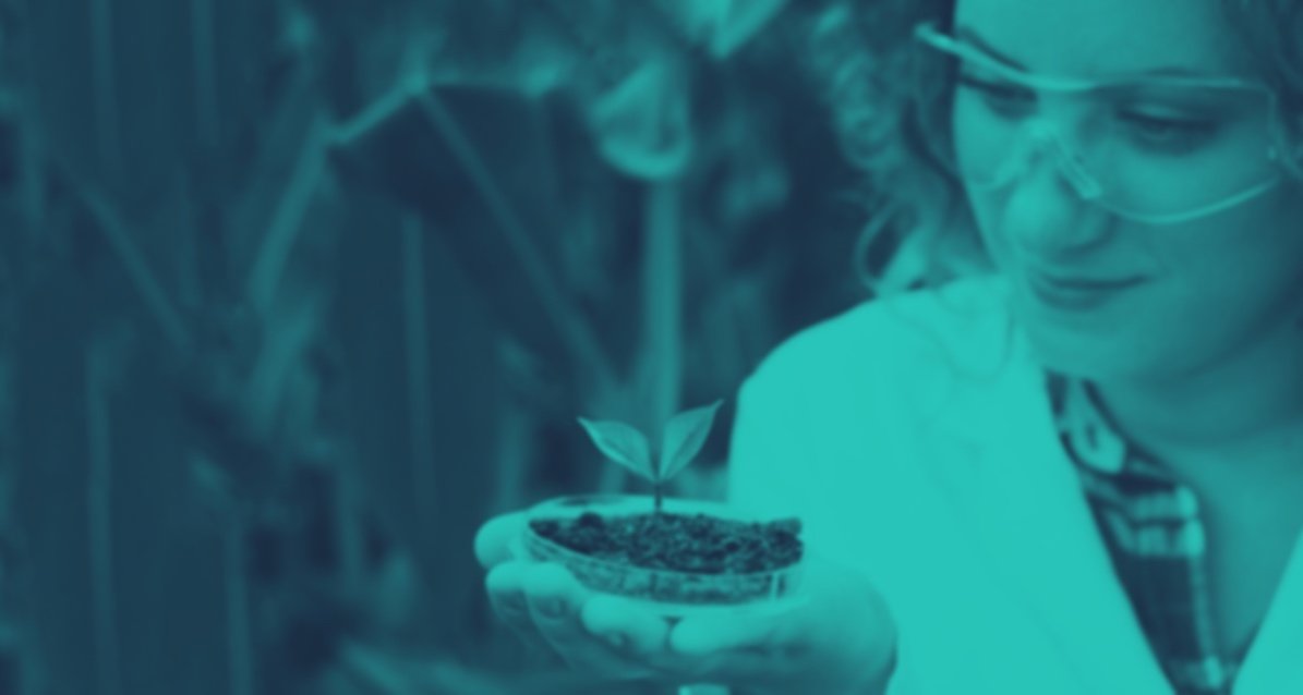 Acadian Plant Health
