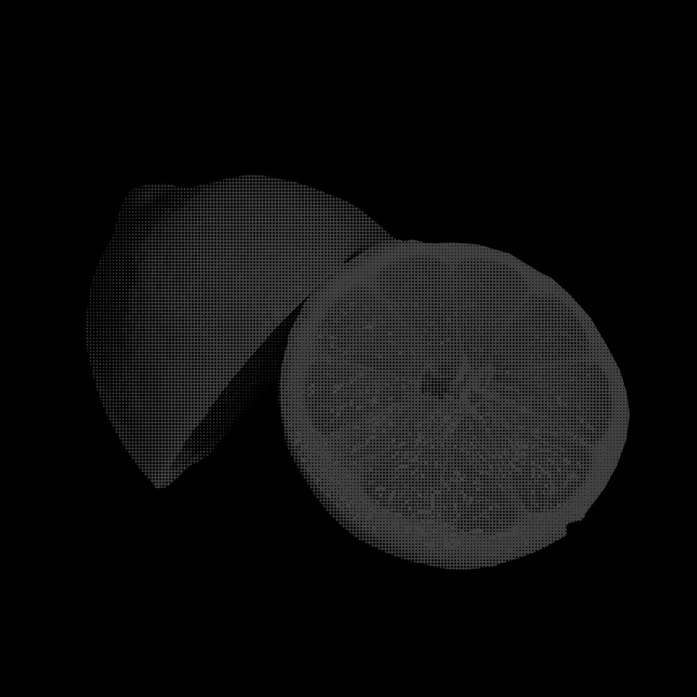 _HLAFTONE LEMON BLACK.jpg