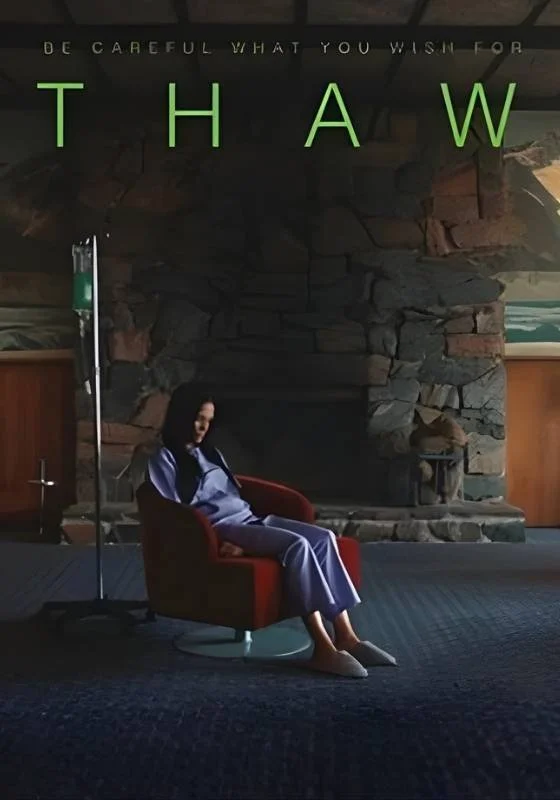 Poster for webseries 'Thaw'. A woman in hospital pajamas sitting on a red chair next to an IV stand in front of a stone fireplace. The image has the word 'THAW' in large green letters at the top.