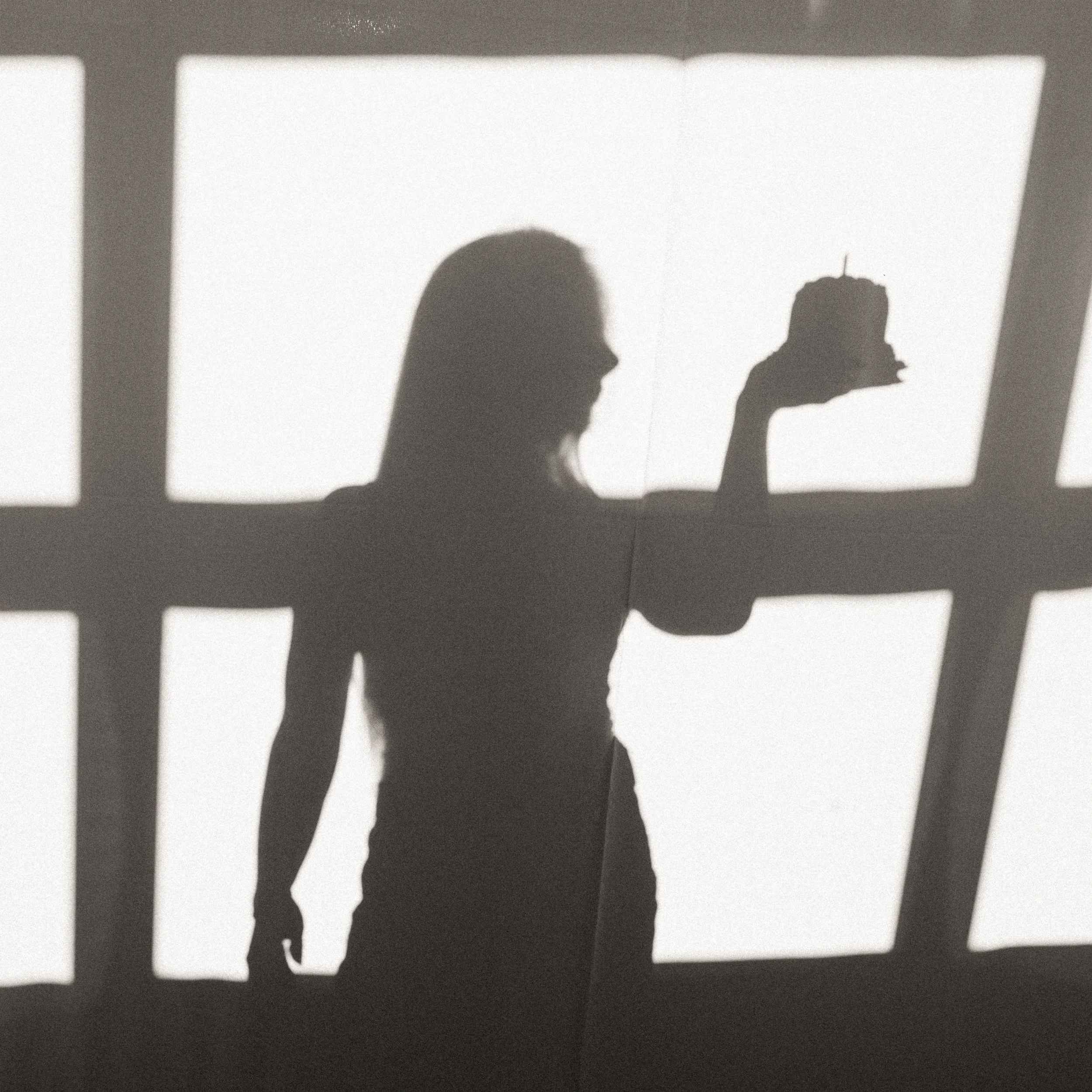 raleigh wake forest party venue cake shadow