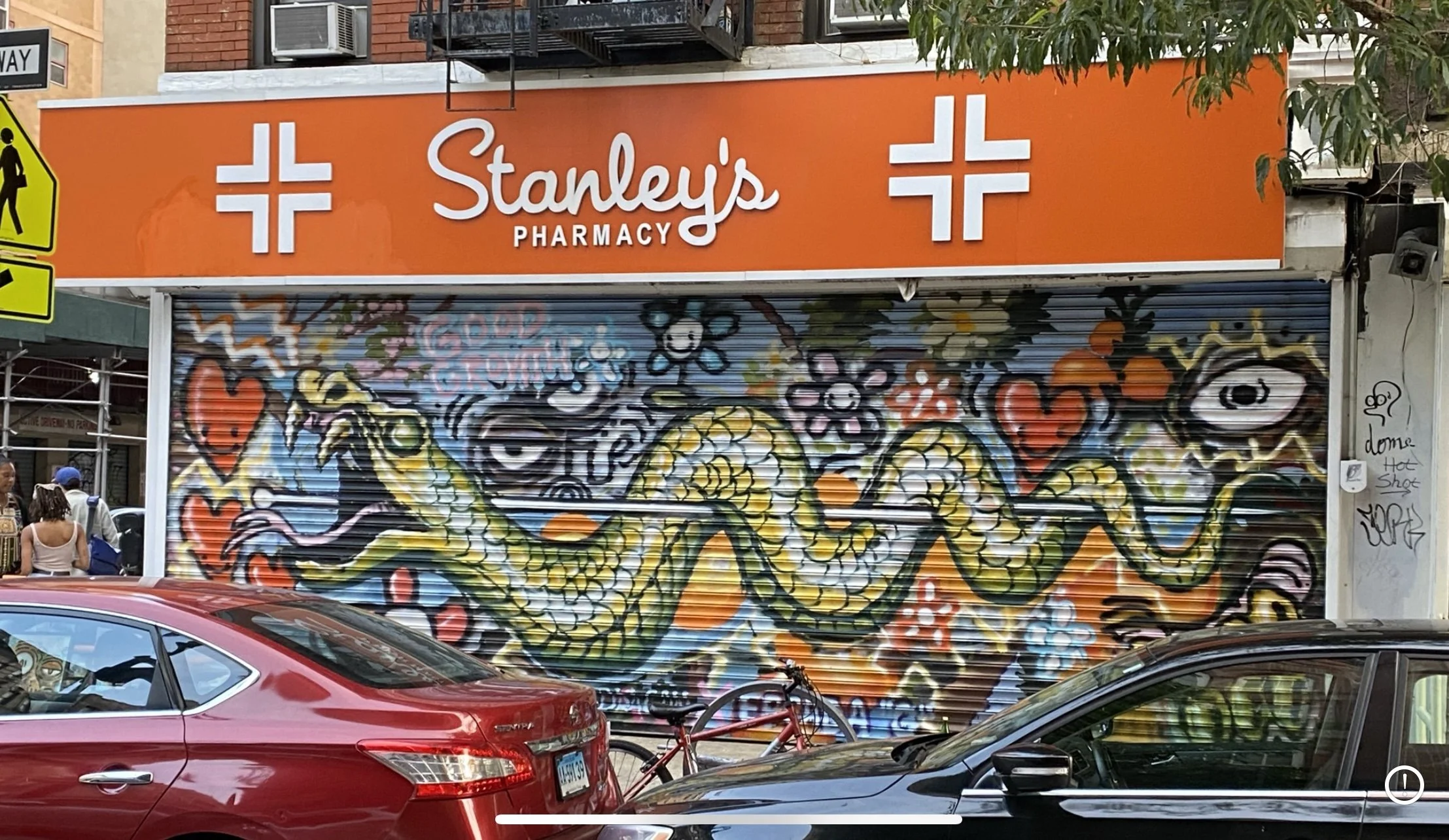 ManhattanSnake.jpg