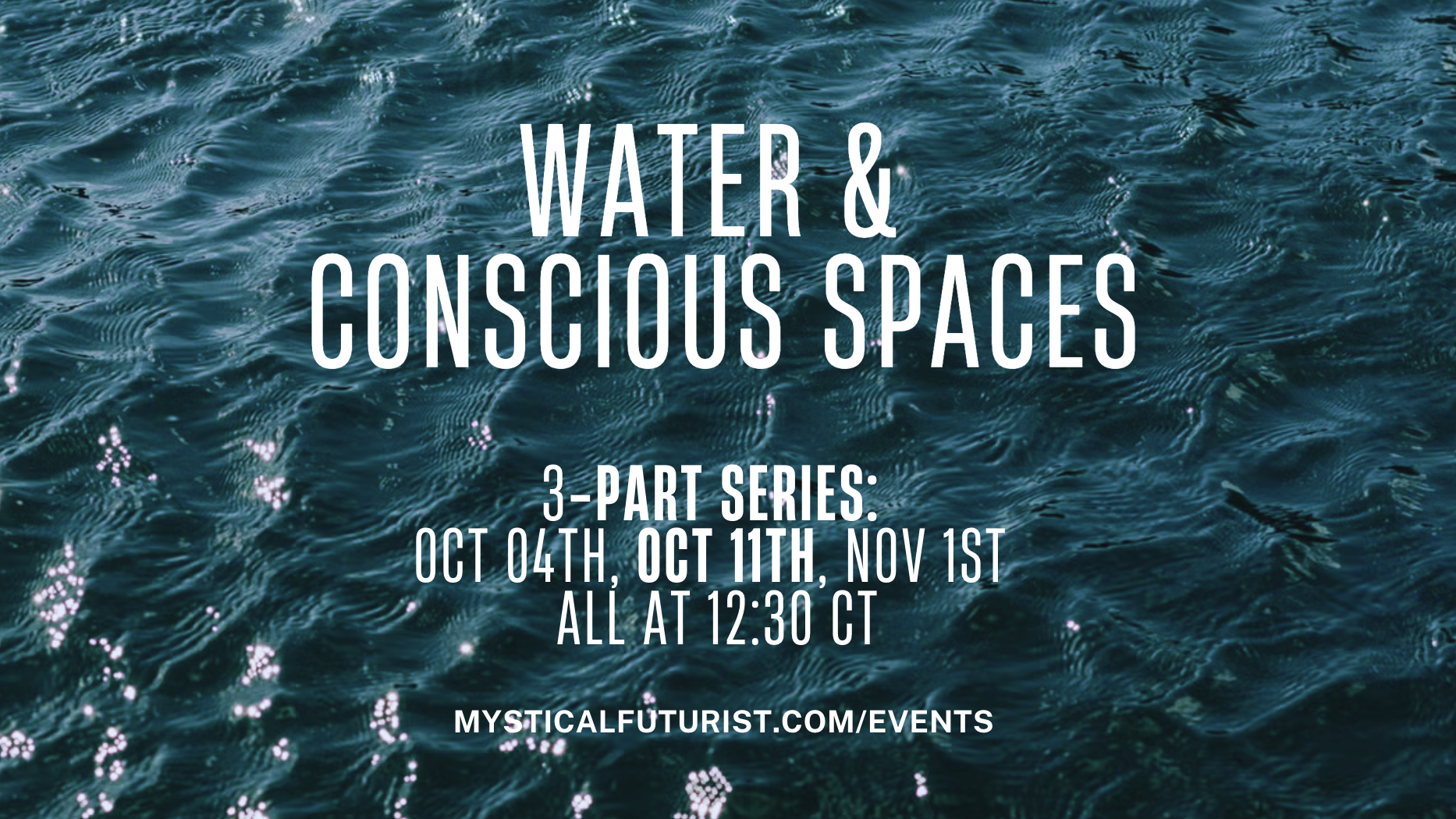 Screenshot 2026-02-19 at 10.45.34 AM.png