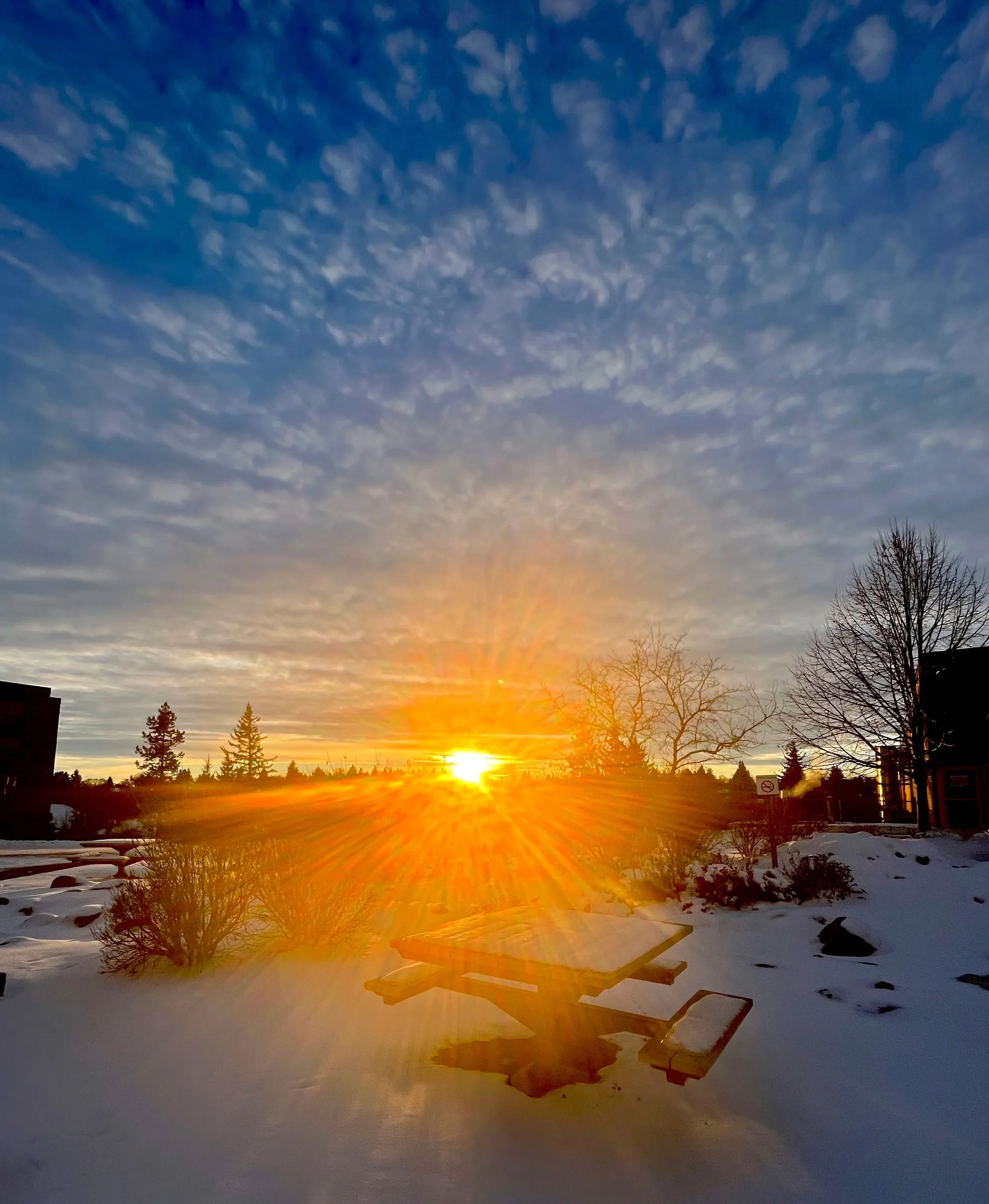 Sunset over snow-covered landscape with leafless trees and a picnic table, with a partly cloudy sky.