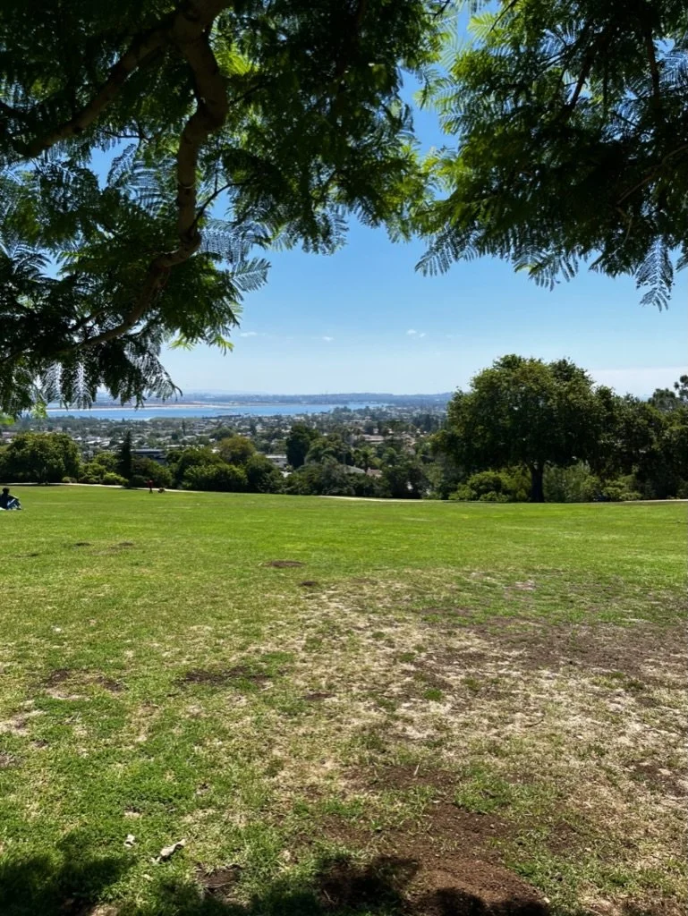 A park with green grass shaded by trees, views of a city and water in the distance under a clear blue sky.