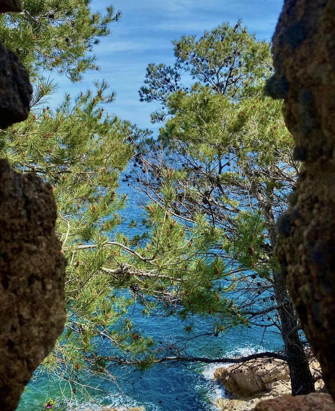 View through rocks shows green pine trees and blue ocean water with rocks near the shoreline, under a partly cloudy sky.