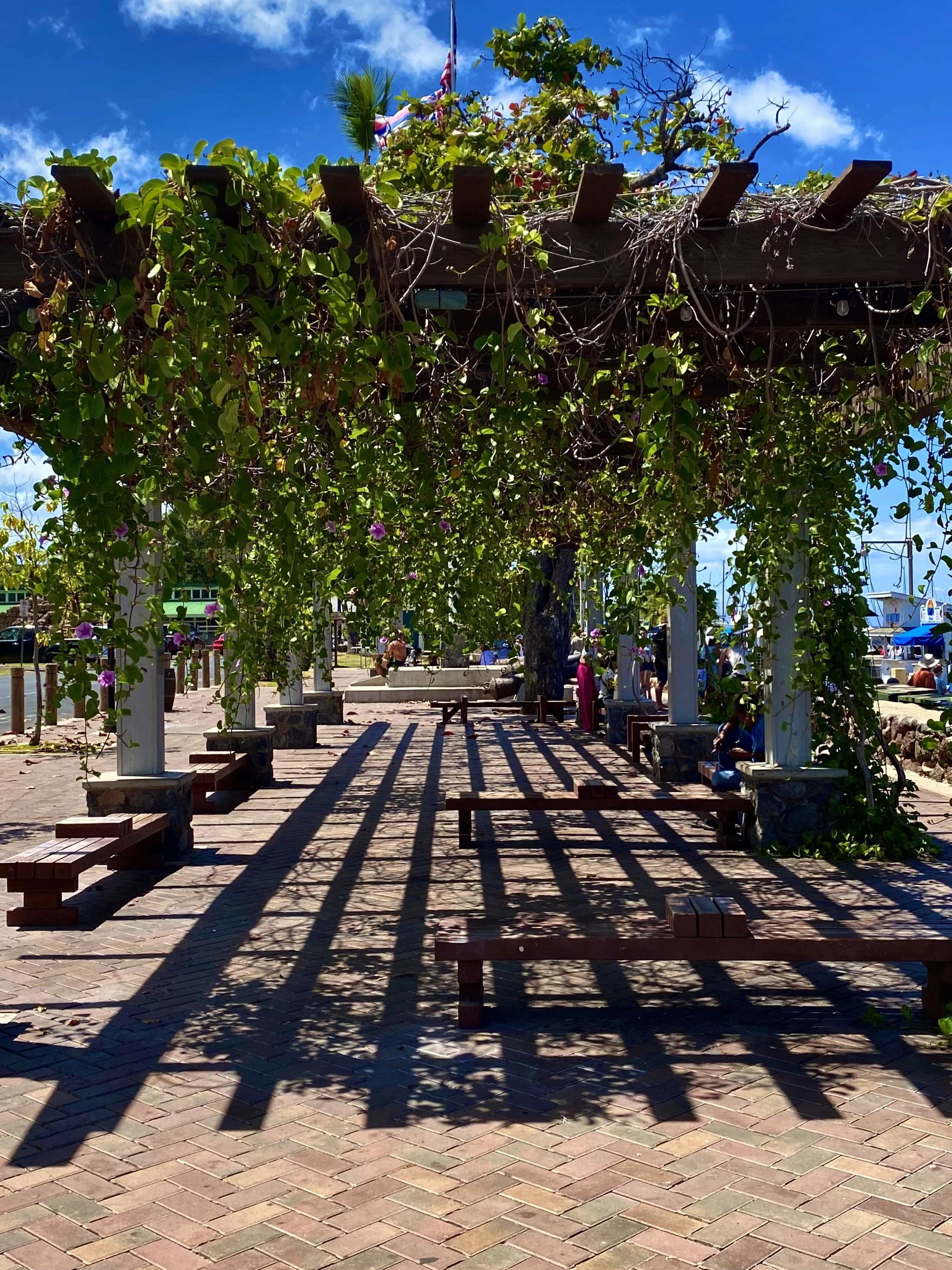 Beachside park with a pergola covered in green vines and purple flowers, brick pathway, benches, and people relaxing under sunny sky.