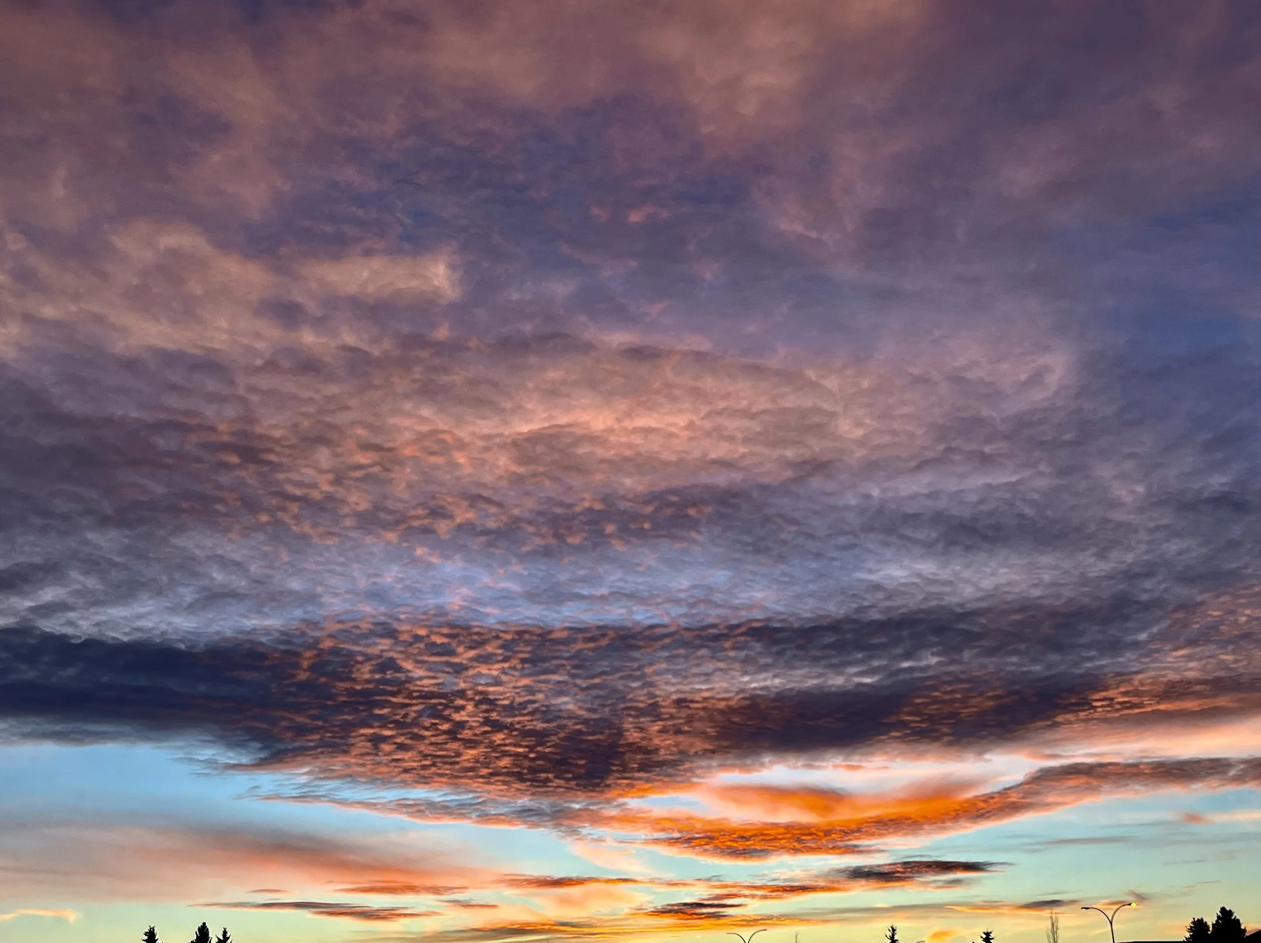 Colorful sky during sunset with clouds in shades of purple, orange, and pink, and silhouettes of trees and streetlights at the bottom.