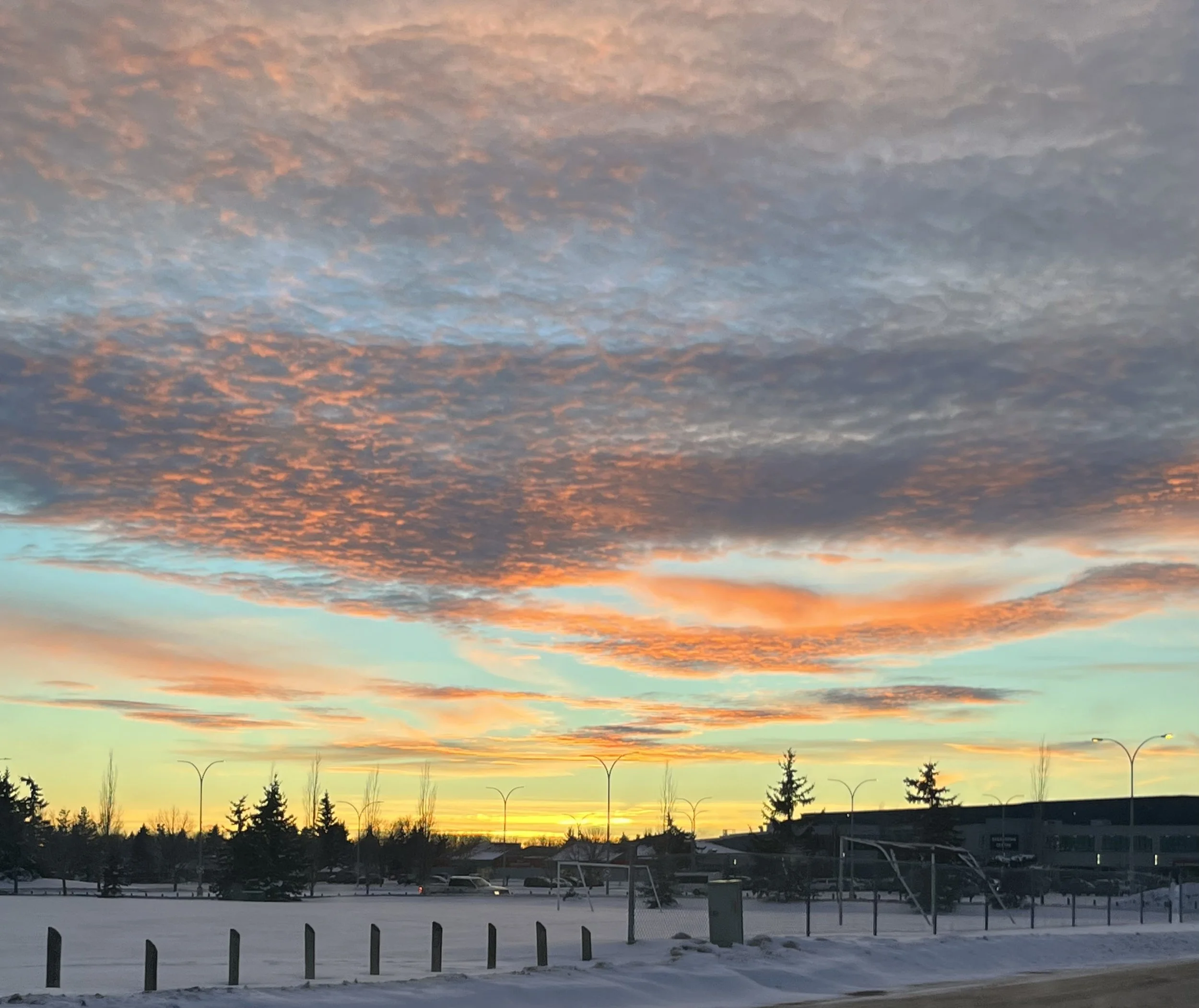 A winter landscape featuring a colorful sunset sky with pink, orange, and gray clouds. Snow covers the ground with a few trees, park benches, and buildings in the distance.