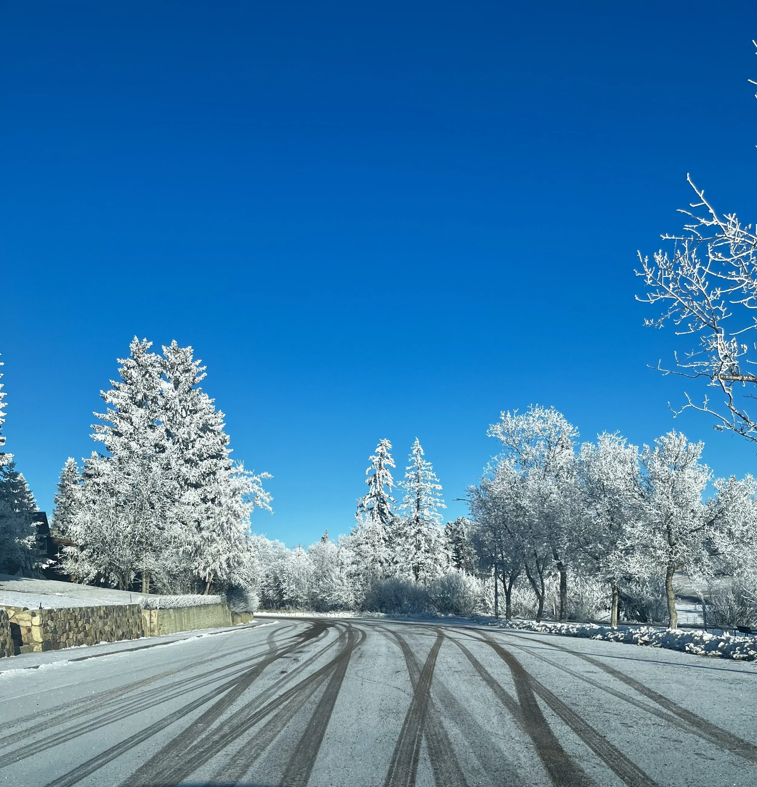 Snow-covered road curving through a winter landscape with snow-laden trees under a clear blue sky.