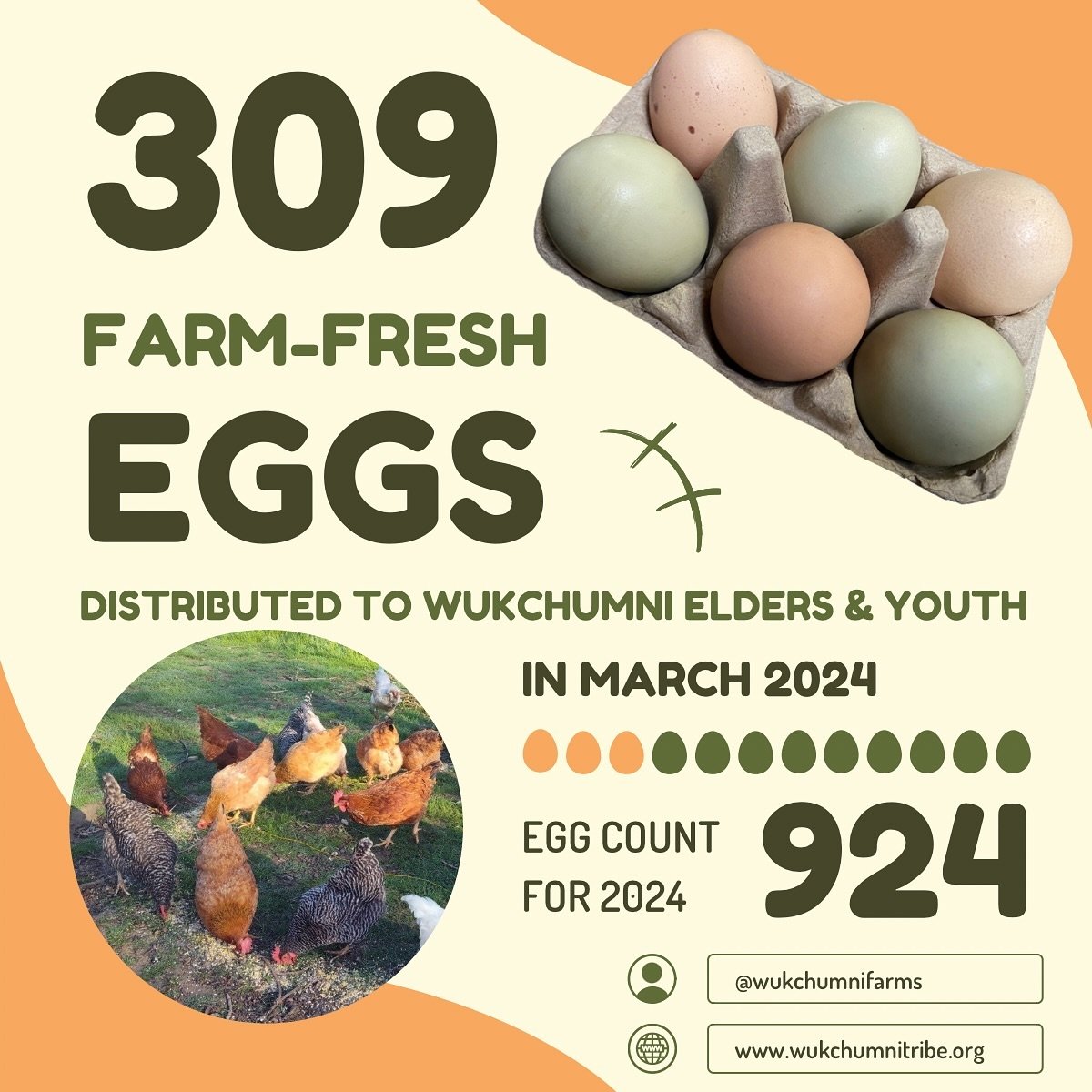 EGG UPDATE‼️🐓🥚
Our girlies are producing more than ever!! We were able to distribute a total of 309 EGGS in March! 🙌🏾🙌🏾🙌🏾
Shoutout to our Farm Manager Lahoci, Farm Assistants, and Interns for taking such great care of our flock and for gettin
