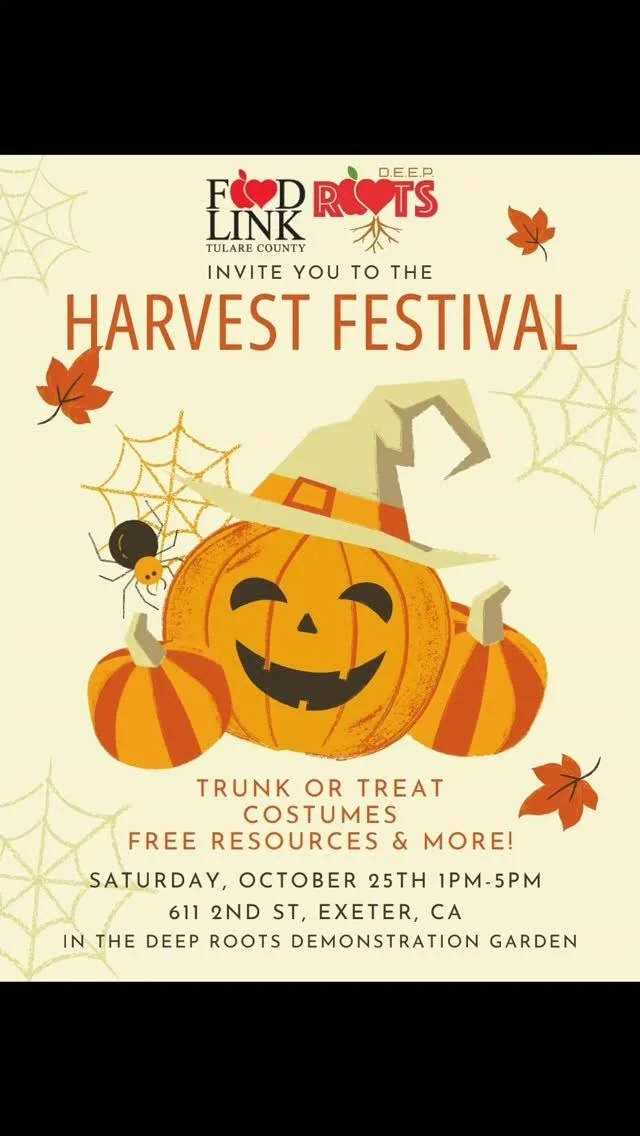 Join us for the Halloween Harvest Festival this Saturday and stop by our booth! 👻🎃
#halloweenparty #wukchumniyouth #peerconnections #fallingintofun