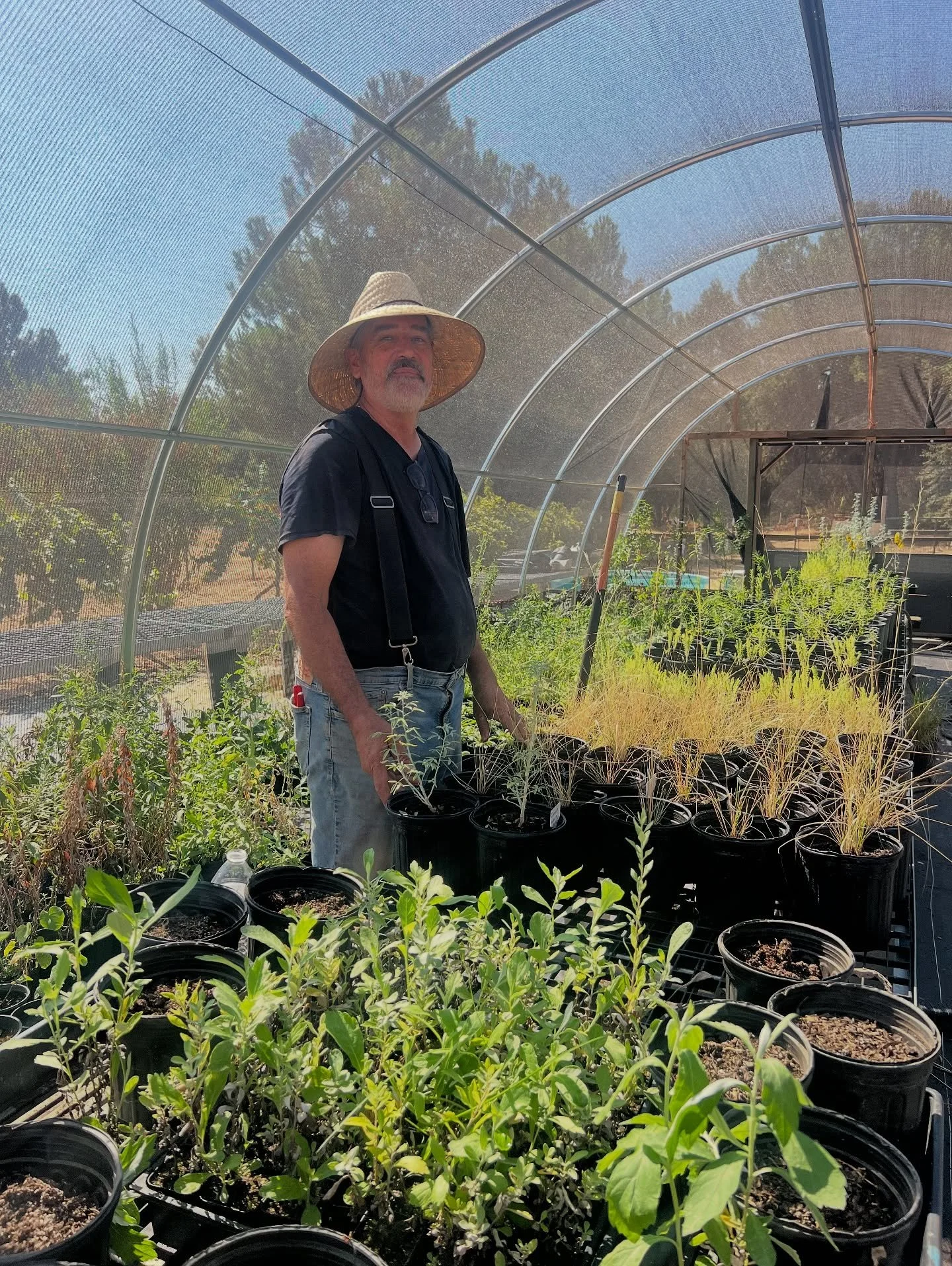 Meet Andrew! He is our native plant guy 😎 Andrew has been working as a Land Steward for the Wukchumni Tribe and helps lead our Native Plant Nursery and restoration work at the farm! 

Today he is working with our Youth Land Stewards in the hoophouse