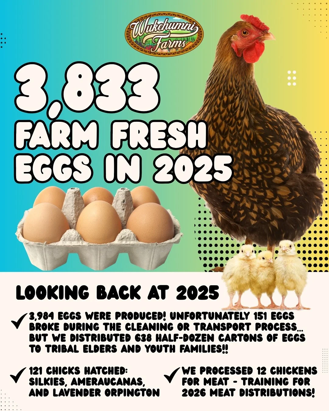 Happy to report that we distributed 3,833 fresh eggs this past year 🥚🤩 our chickens provided us with lots of eggs that made our tribal elders and youth families so happy ☺️ Some weeks we had extra eggs and were able to give to the community also! A