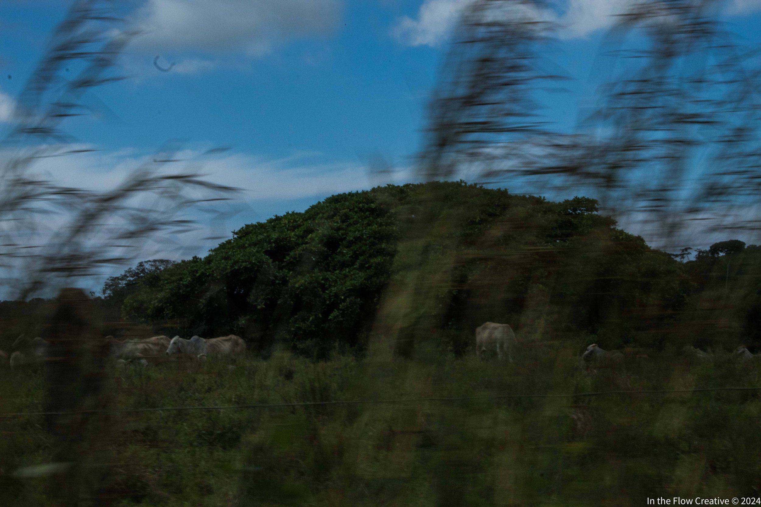 Costa Rica Countryside