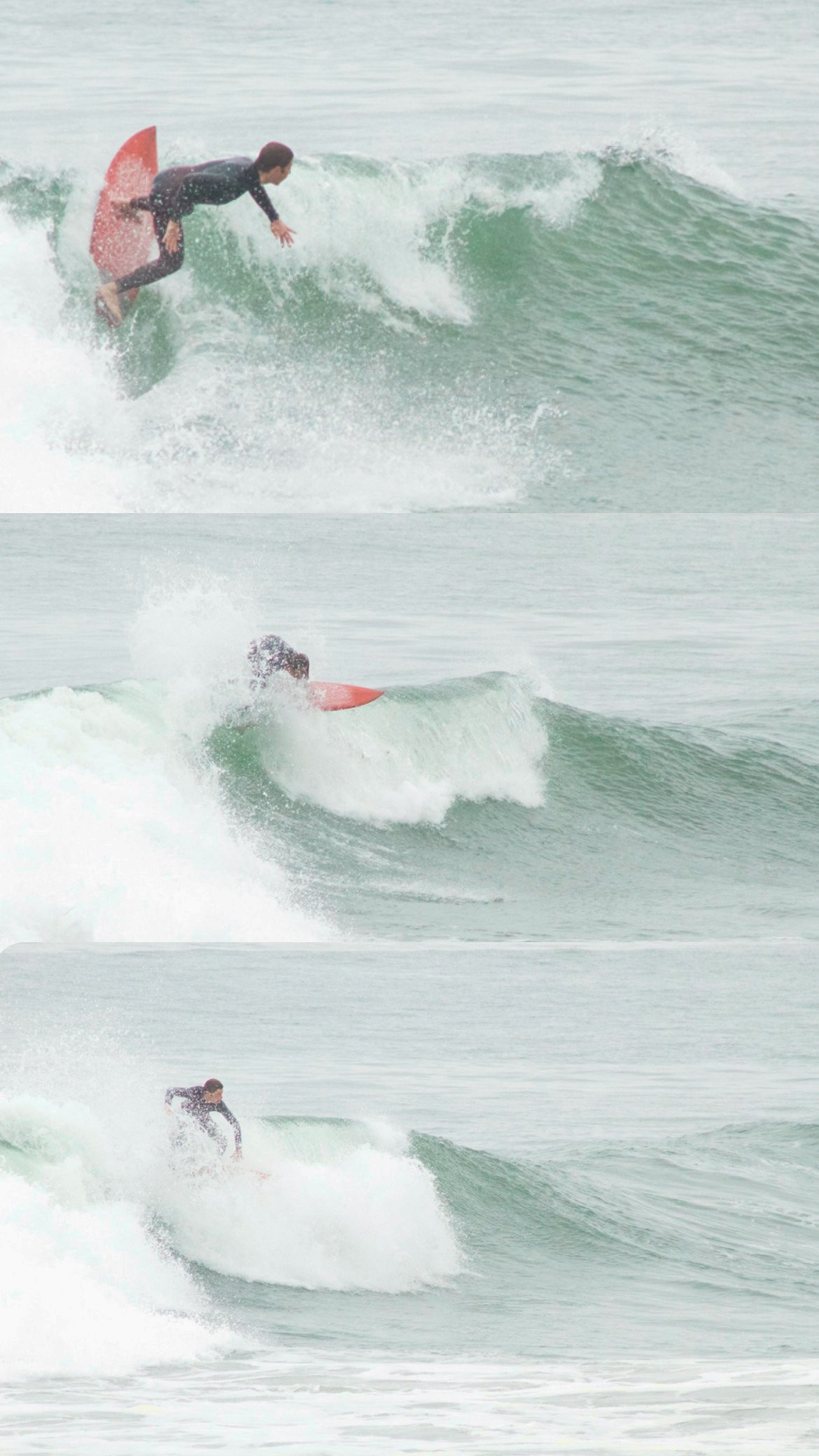 Newport Carve