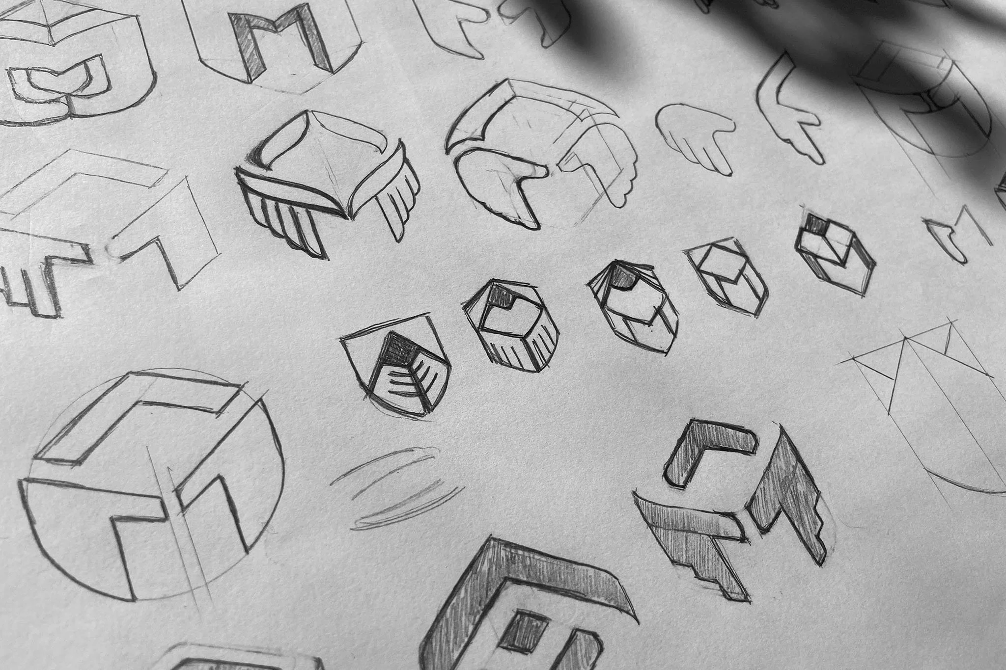 MSLN IMG-Develop Section-2.jpg