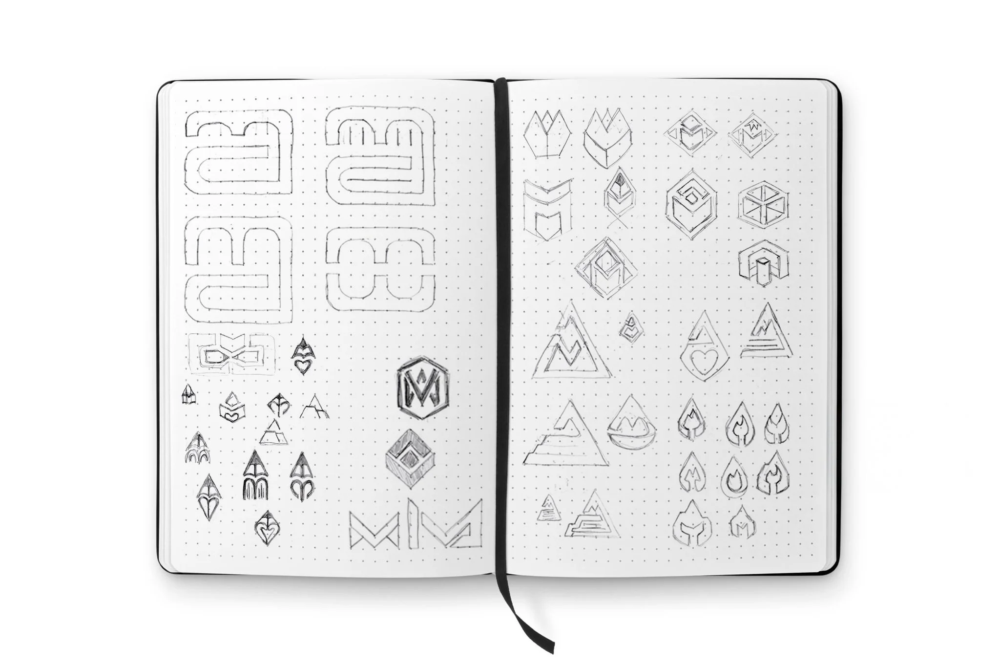 MSLN IMG-Develop Section-1.jpg