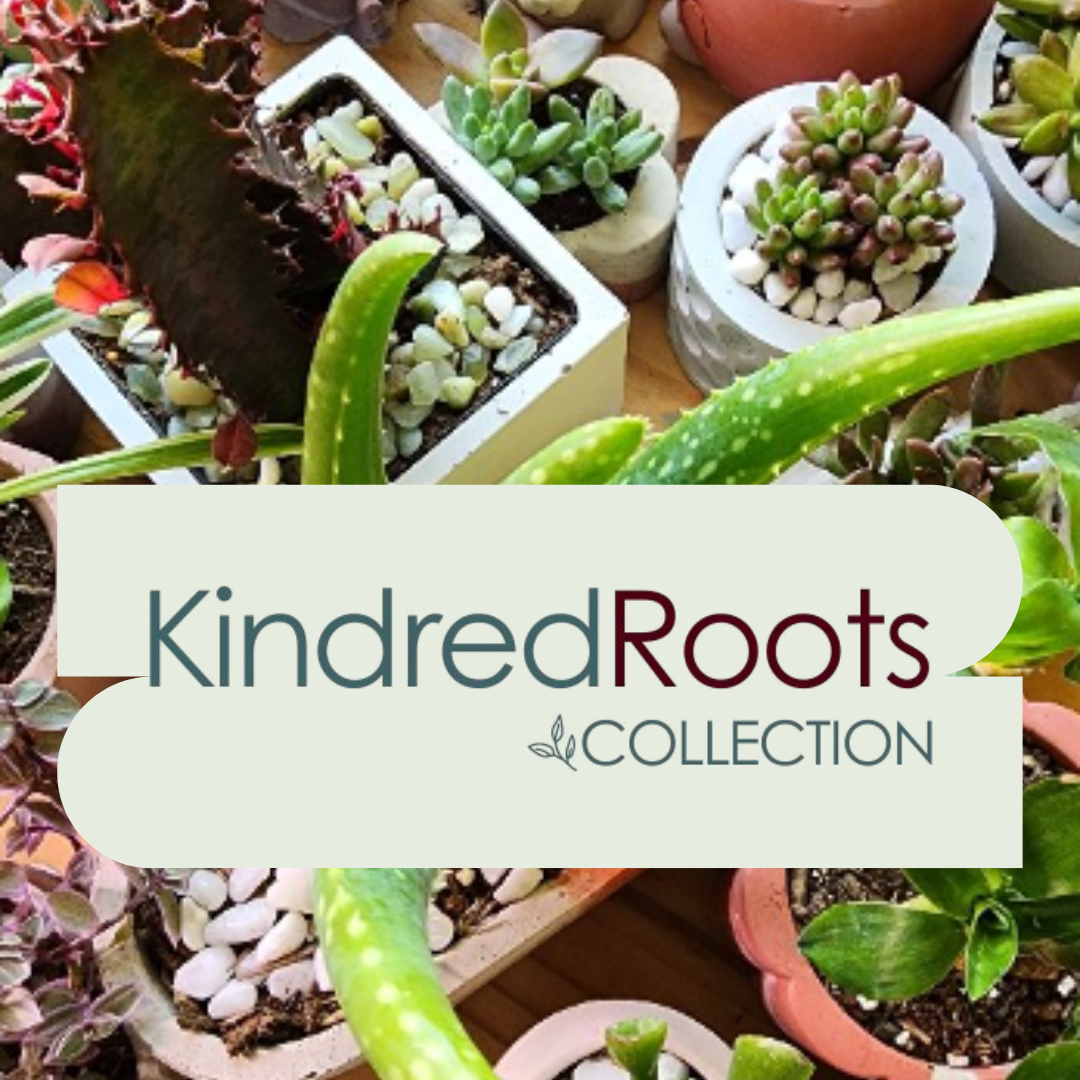Kindered Roots Logo over succulents plants potted in handmade pottery
