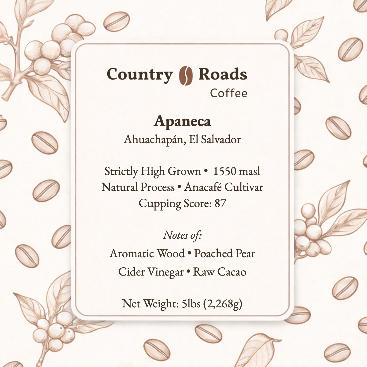 Screenshot 2026-02-22 at 3.28.02 PM.png