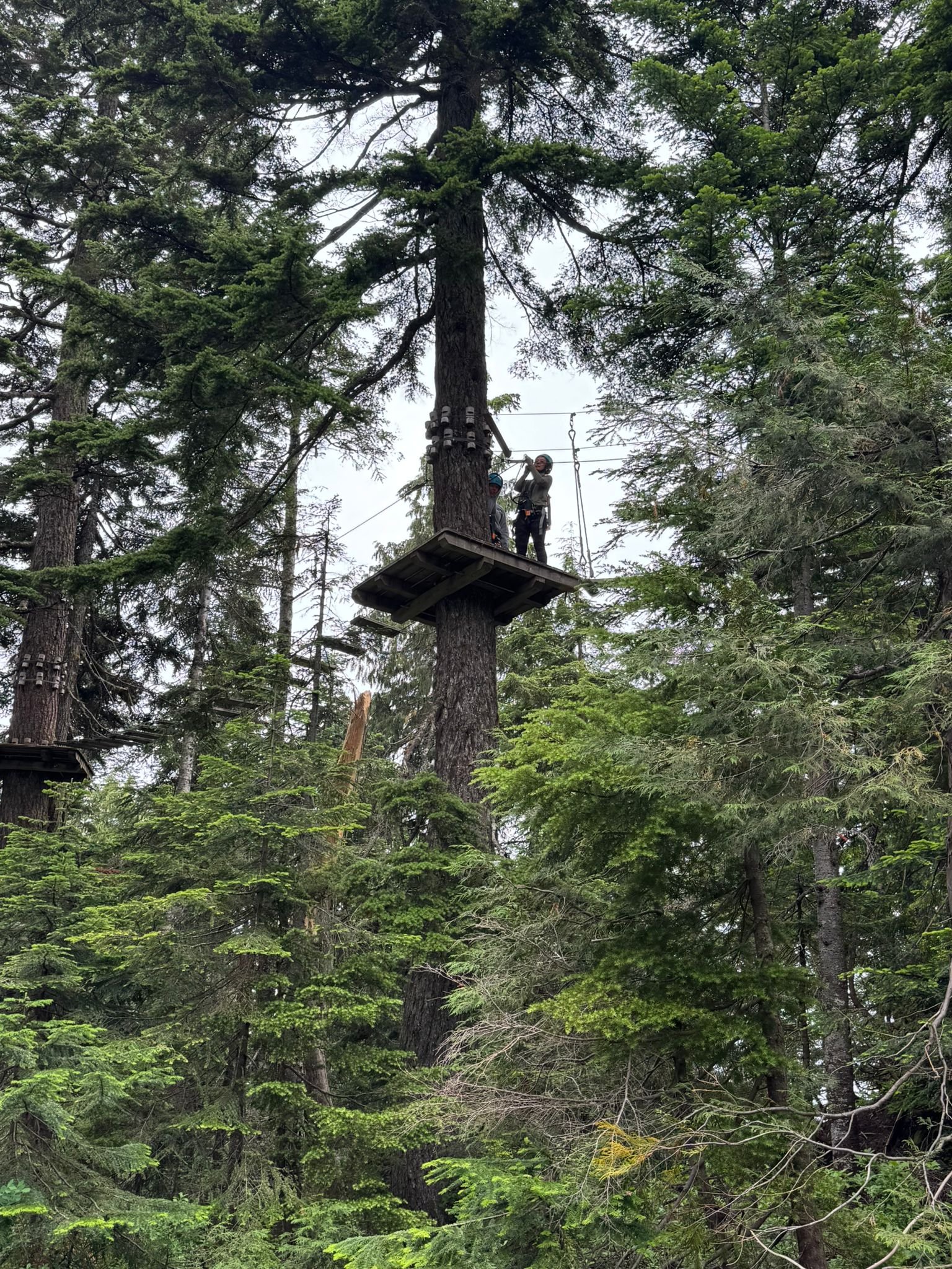 WhatsApp Image 2025-07-20 at 1.10.02 PM.jpeg