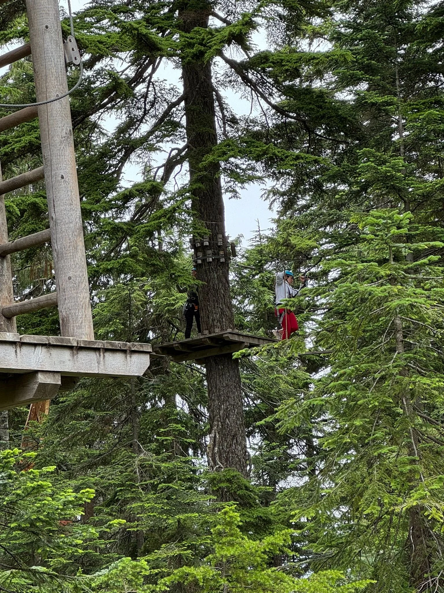 WhatsApp Image 2025-07-20 at 1.10.05 PM.jpeg