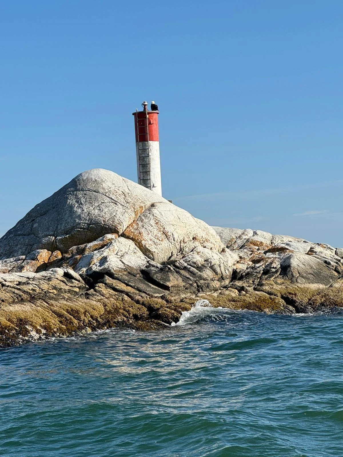 WhatsApp Image 2025-07-19 at 9.27.52 PM.jpeg