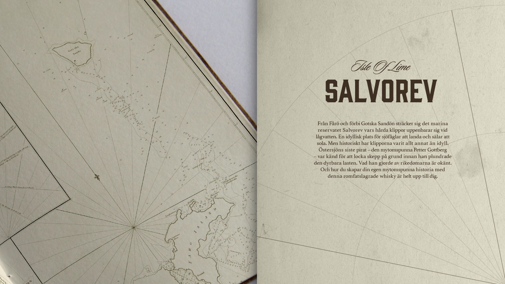 Salvorev_-01.png