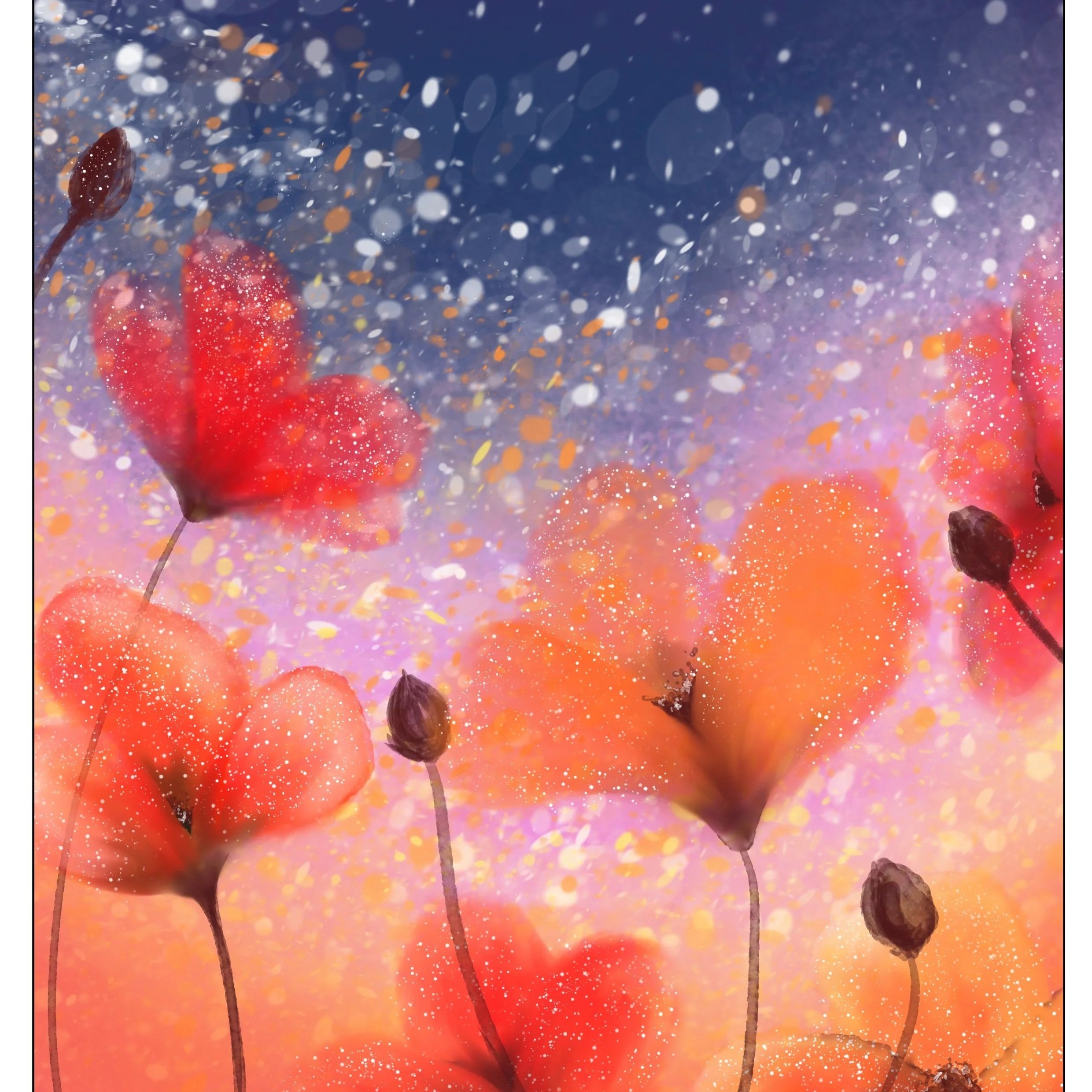 A group of pinkish-red flowers with slender stems against a colorful, gradient background of purple, orange, and pink hues with a bokeh effect.