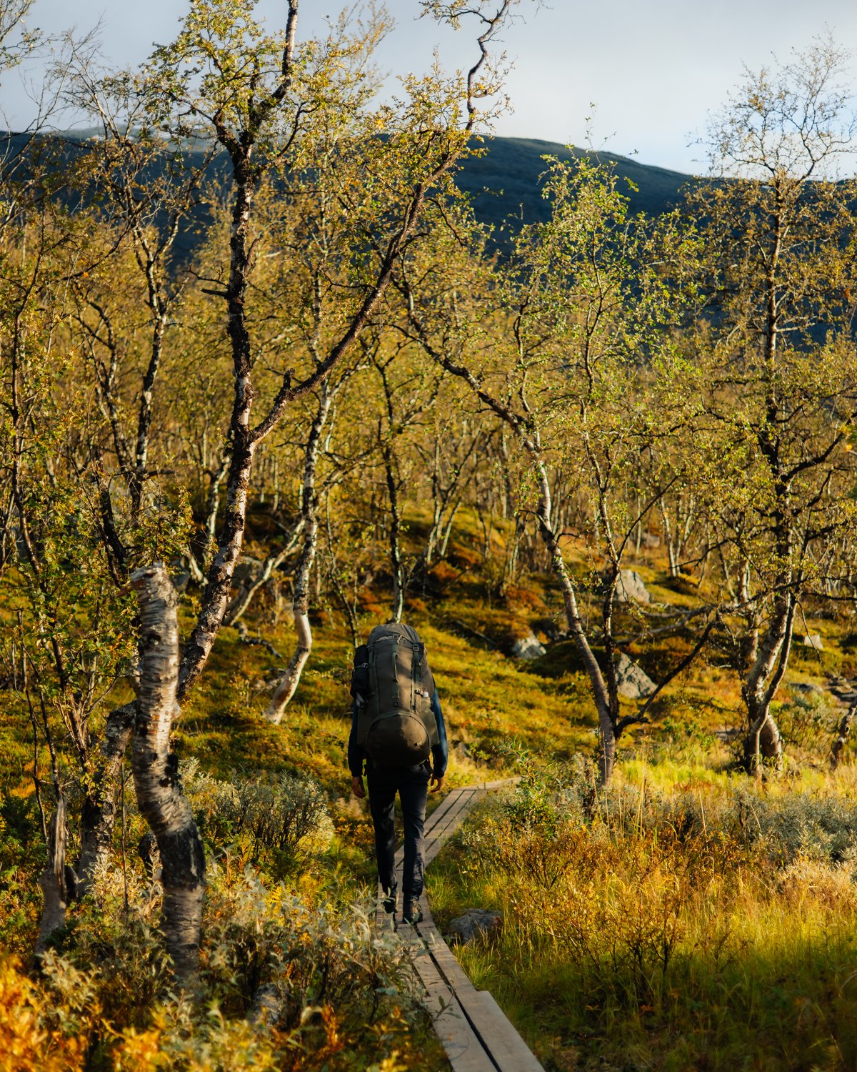 marina-weishaupt-kungsleden-guide-sweden-hiking-trail-blog007.jpg