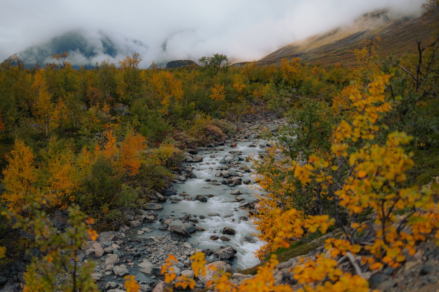 marina-weishaupt-kungsleden-guide-sweden-hiking-trail-blog084.jpg