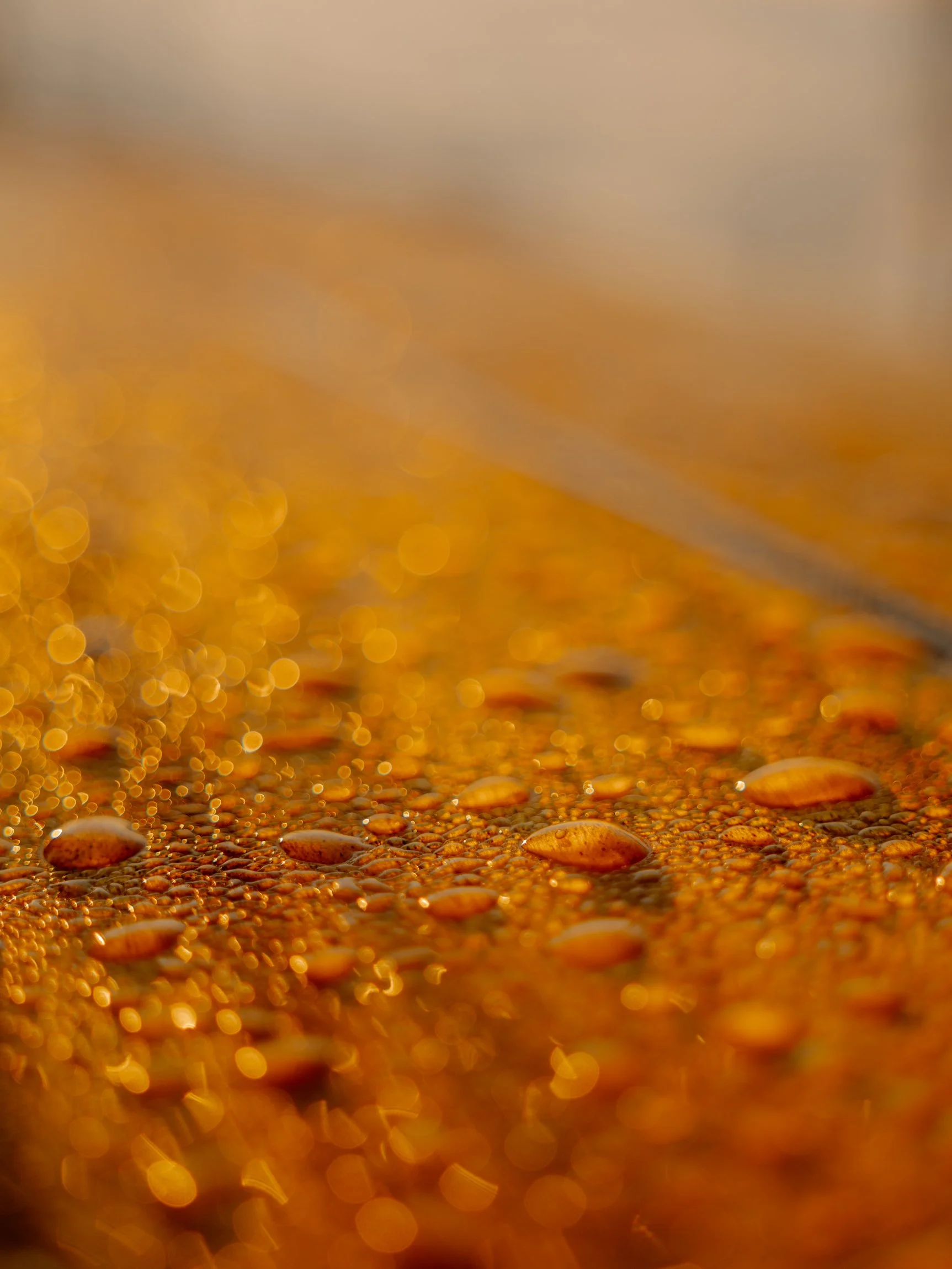 greenland-bokeh-sigma-marina-weishaupt.jpg