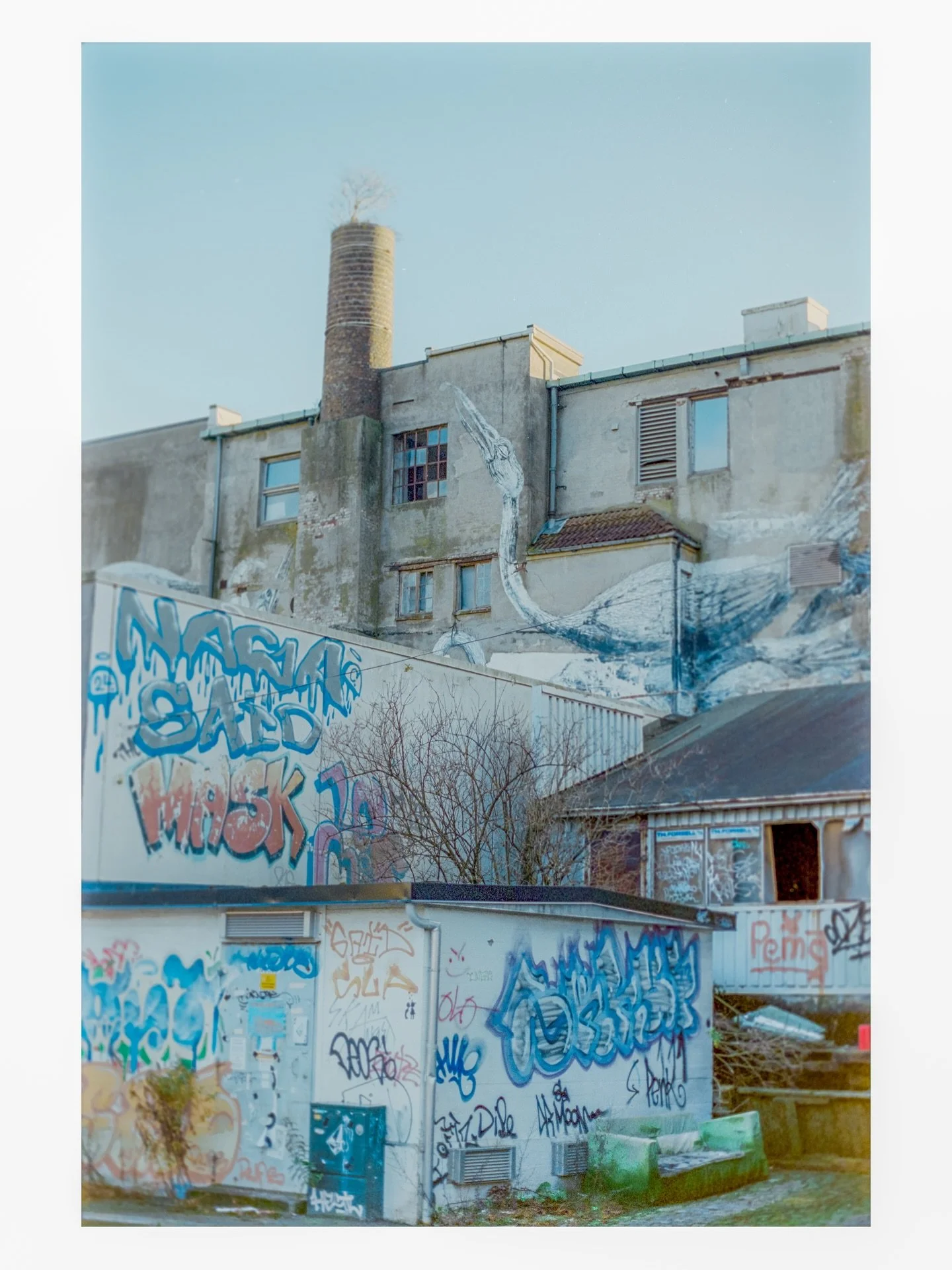 Skyscrapers 2025.
&bull;Nikon F3
&bull;Portra 400
&bull;
&bull;
&bull;
&bull;#analogue #analogphotography #film #35mmfilm #streetphotography #cityphoto #stavanger #norway #nikon #nikonf3 #kodak #portra400 #norgefoto #stavangerfoto #graffiti #streetar