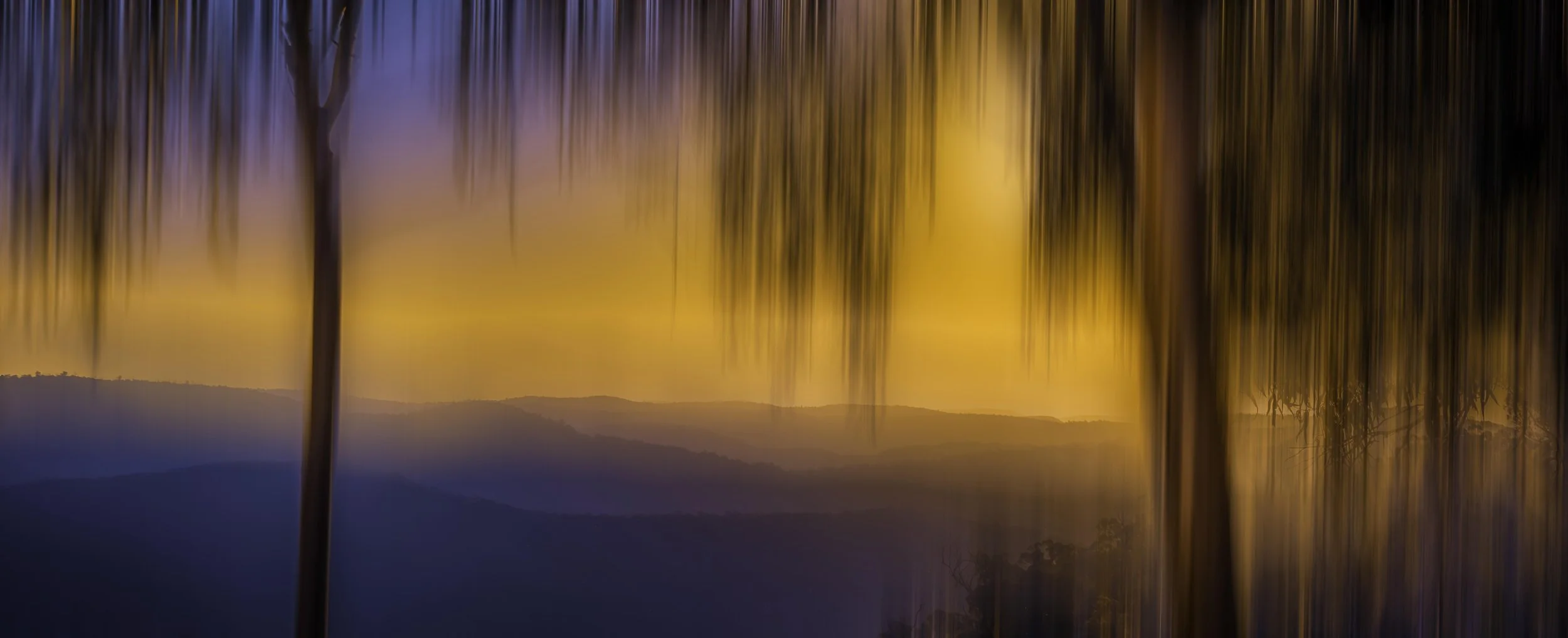 Sunset Between Two Gums