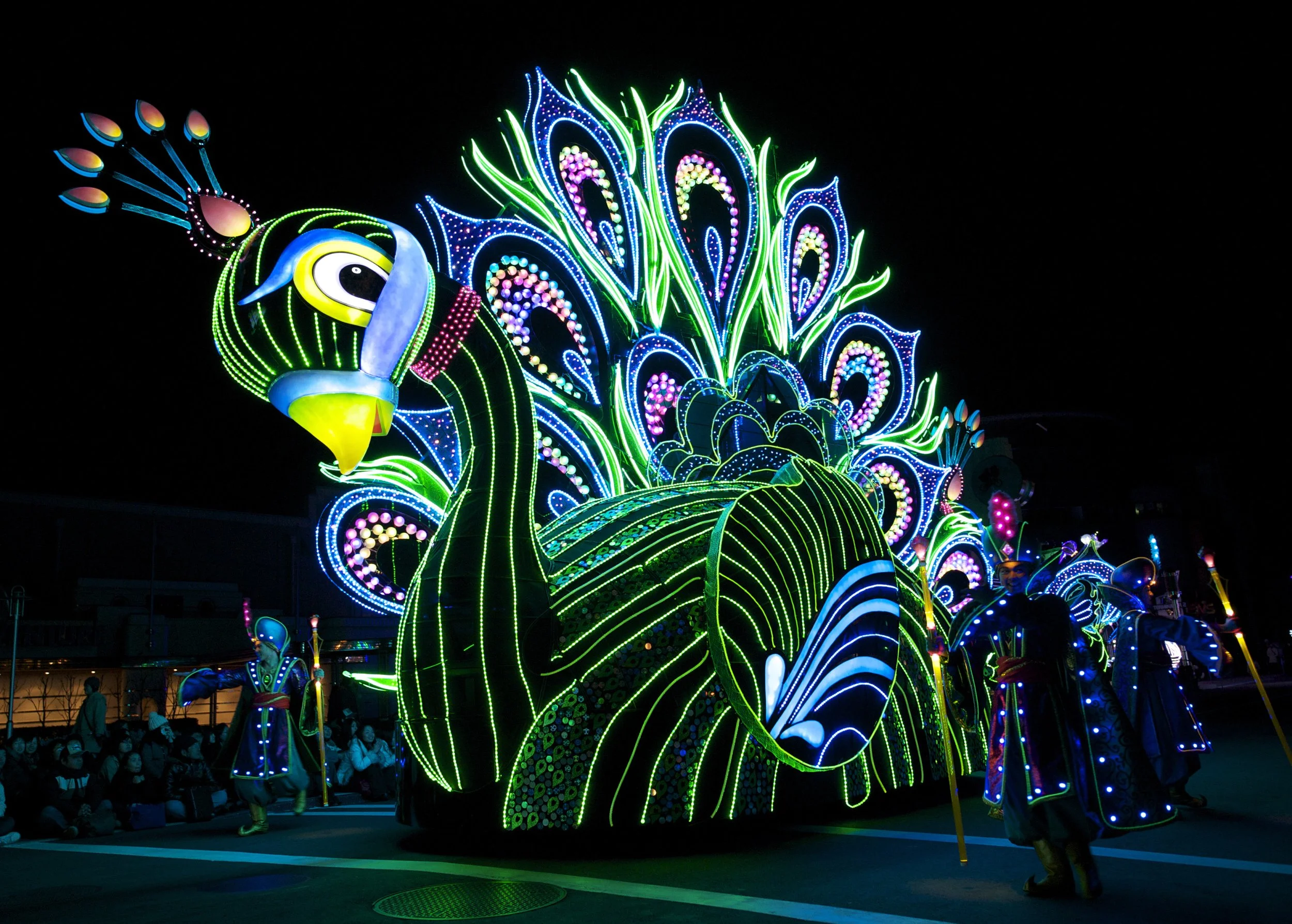 Peacock 2.jpg