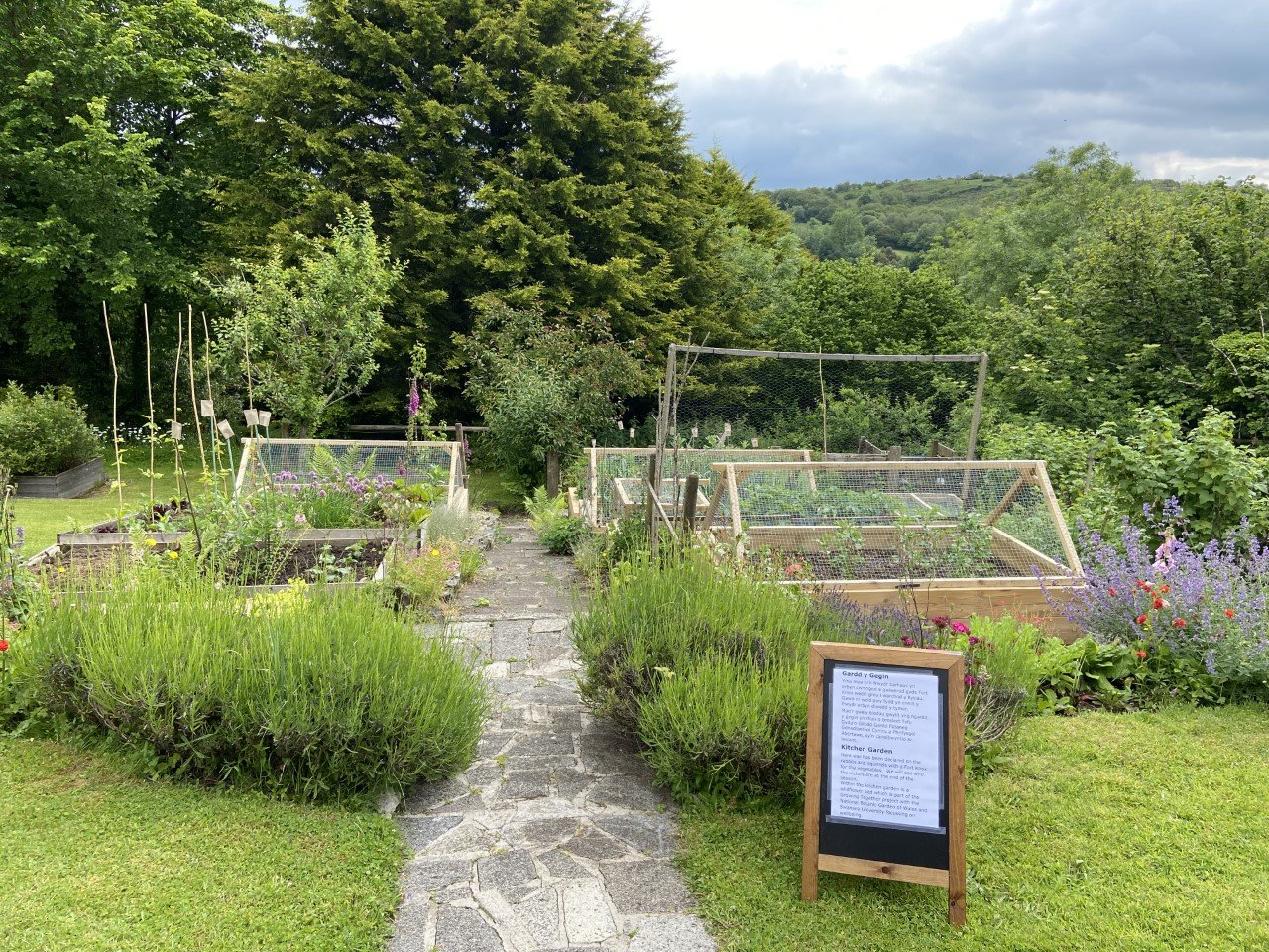June 21 kitchen garden.jpg