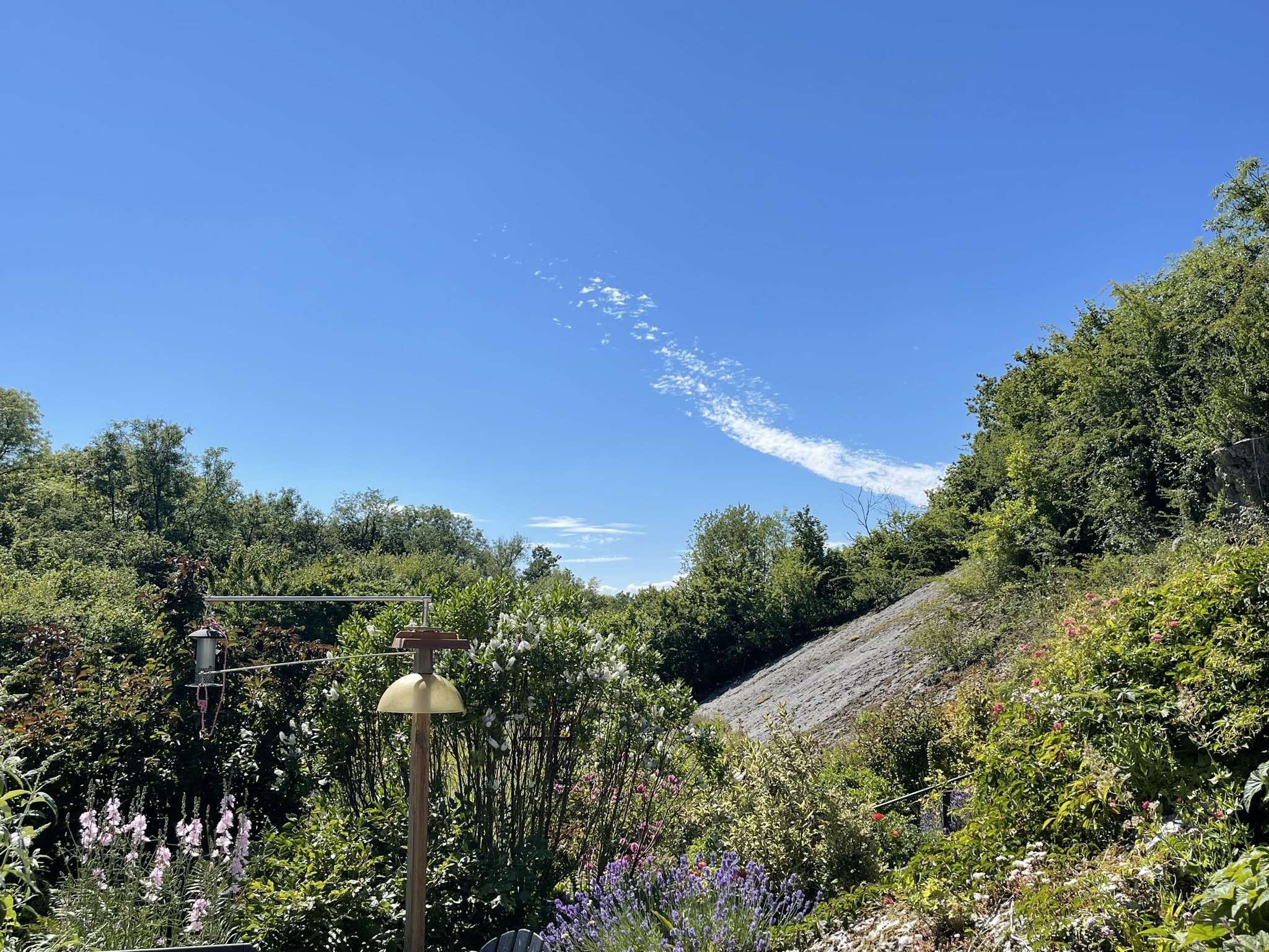 IMG_8397.jpeg