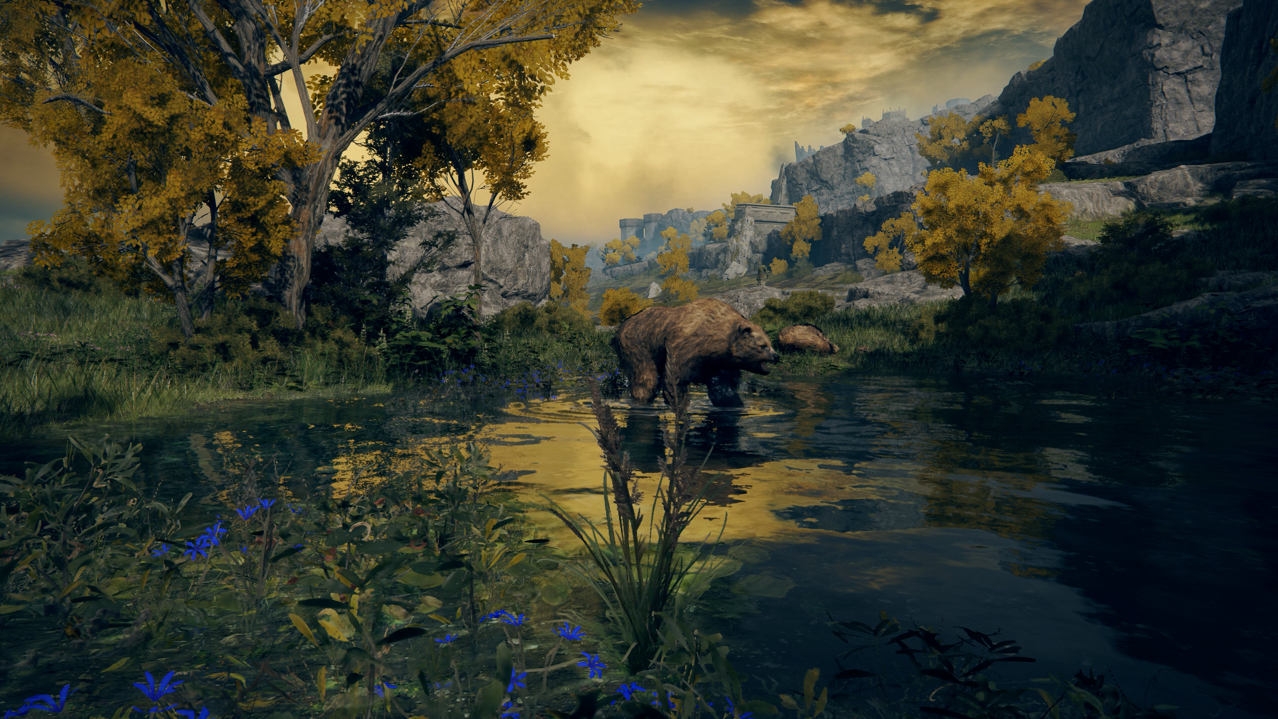 Elden Ring - gorgeous backdrop, bear wandering.00_00_08_00.Still001.png