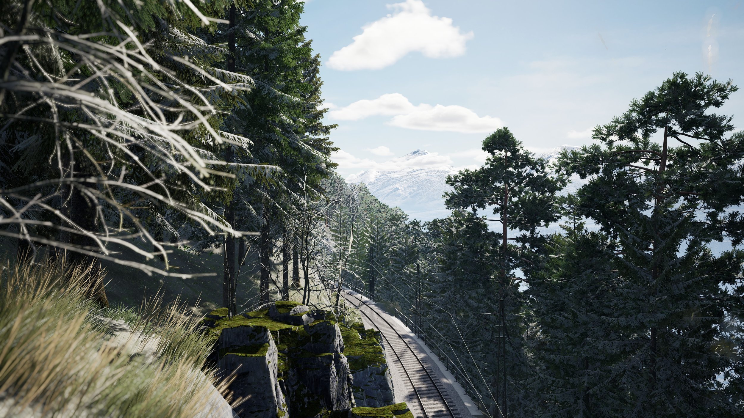 german landscape.jpg