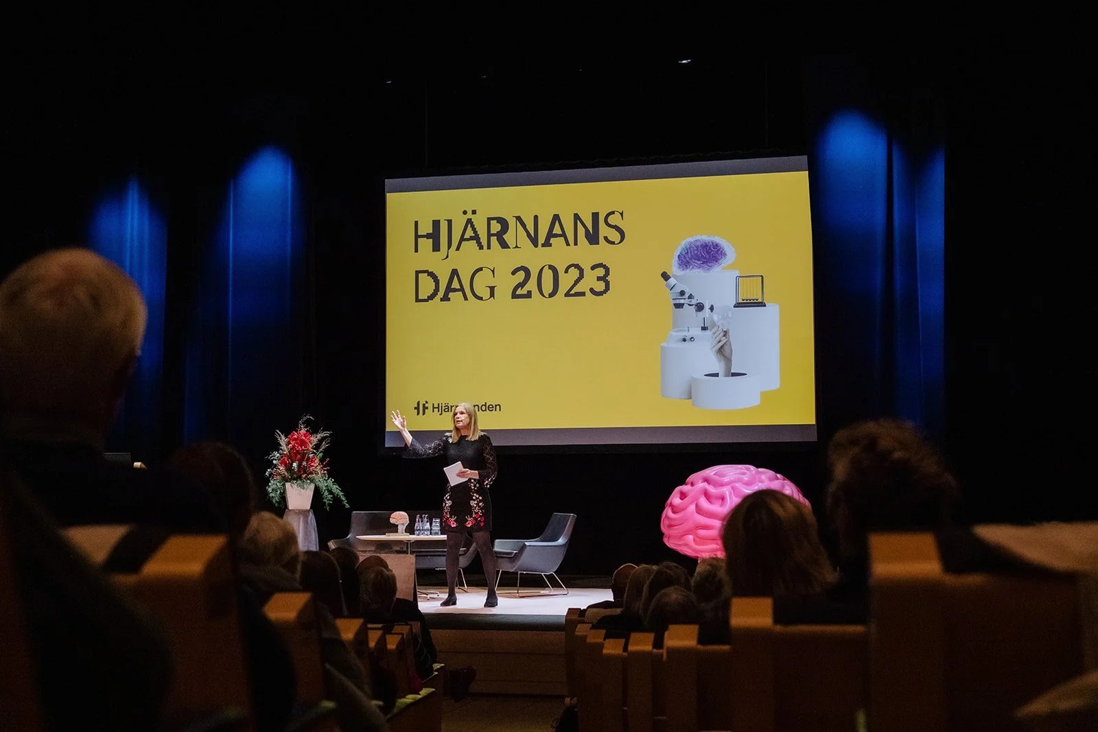 speaker at Hjärnansdag 