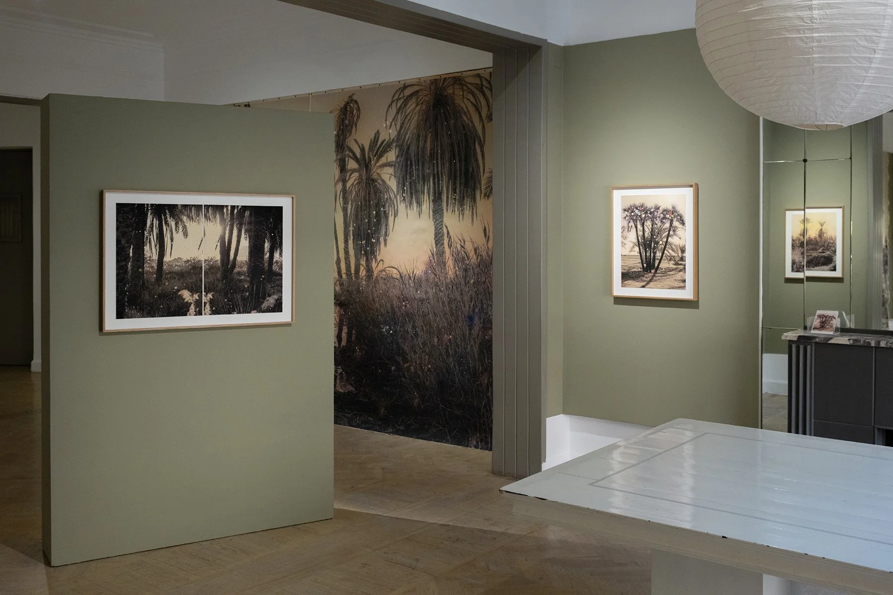 Painted Oasis Solo Exhibition 2026 at Tintera, Cairo (Documentation Marc Onsi Photography)