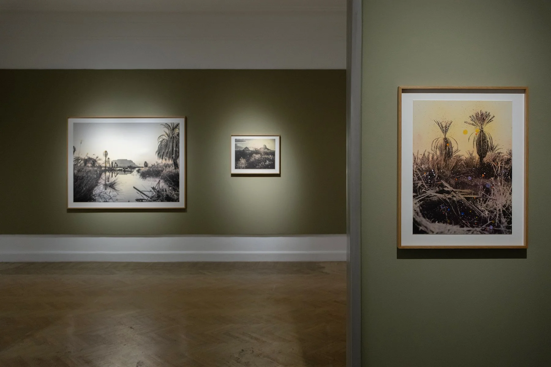 Painted Oasis Solo Exhibition 2026 at Tintera, Cairo (Documentation Marc Onsi Photography)