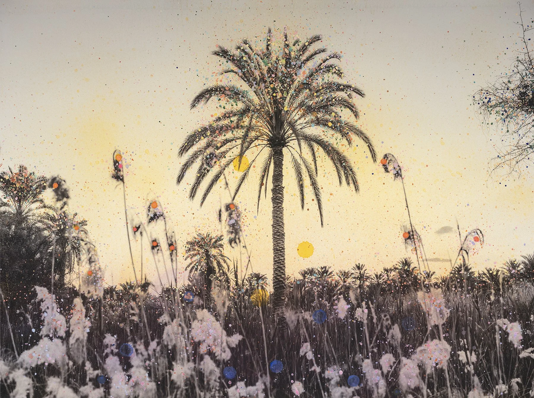 Painted Oasis