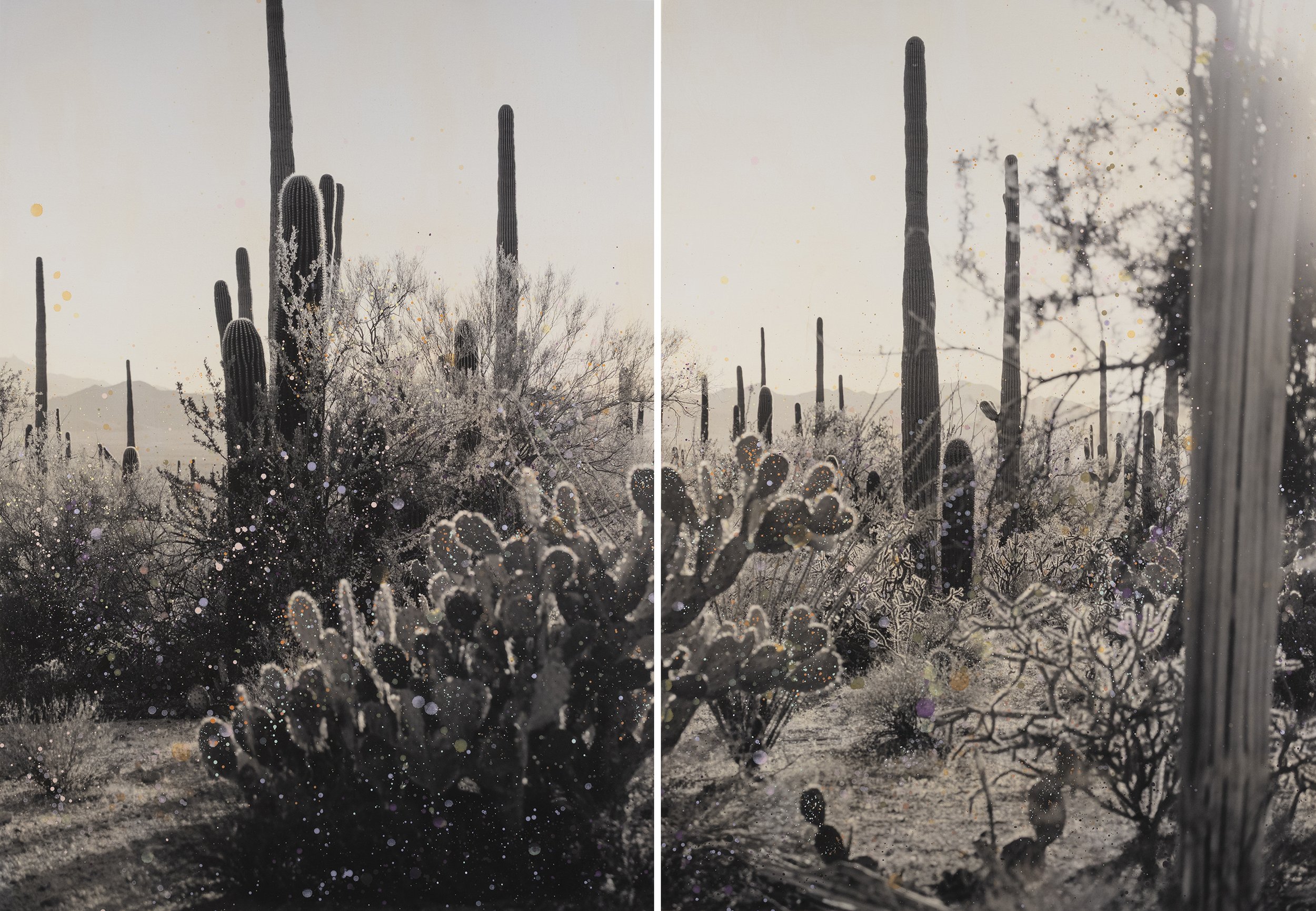 Flowers Like Diamonds