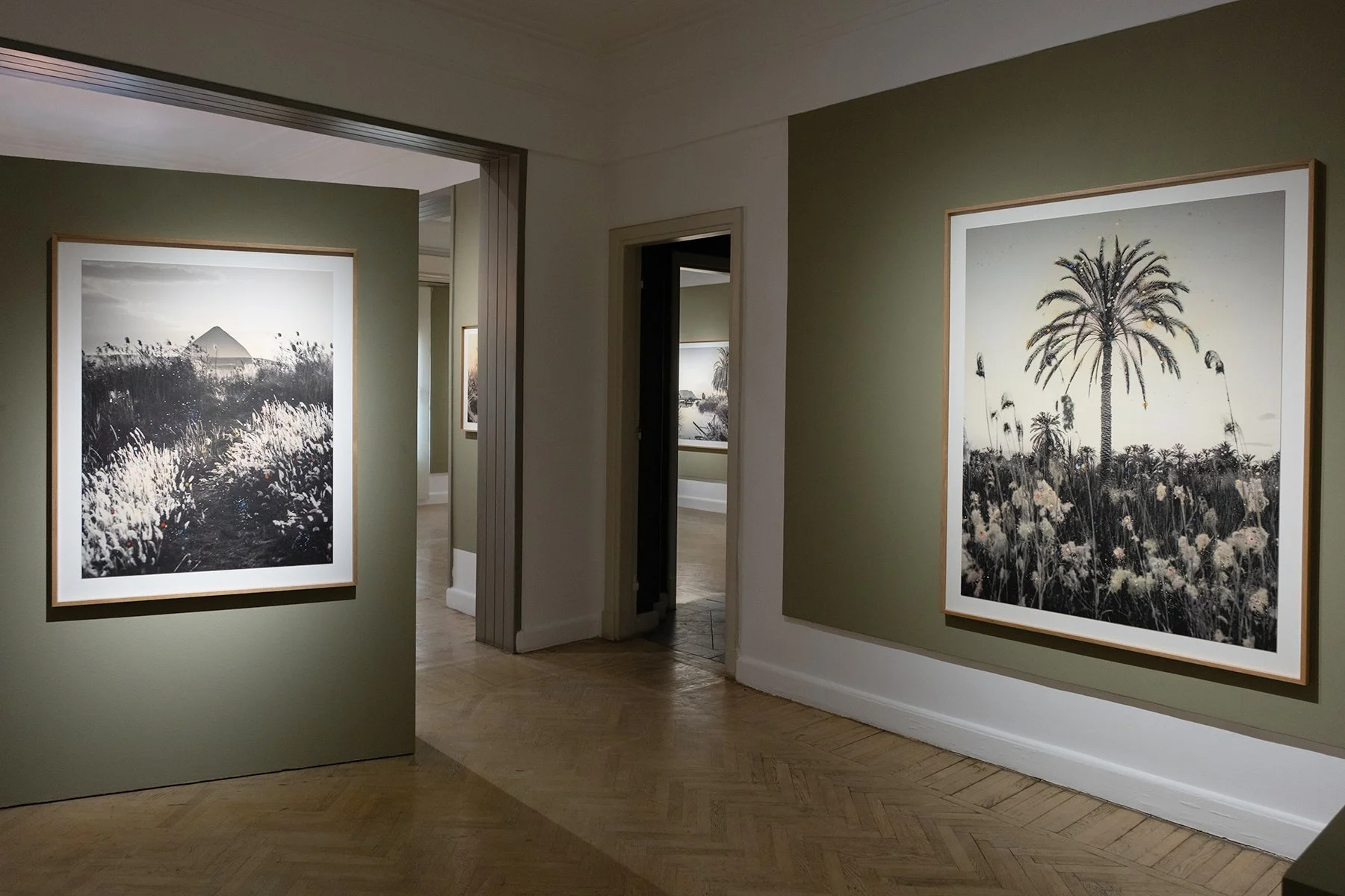 Painted Oasis Solo Exhibition 2026 at Tintera, Cairo (Documentation Marc Onsi Photography)