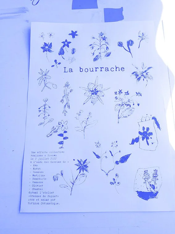 affiche bichromie.jpg